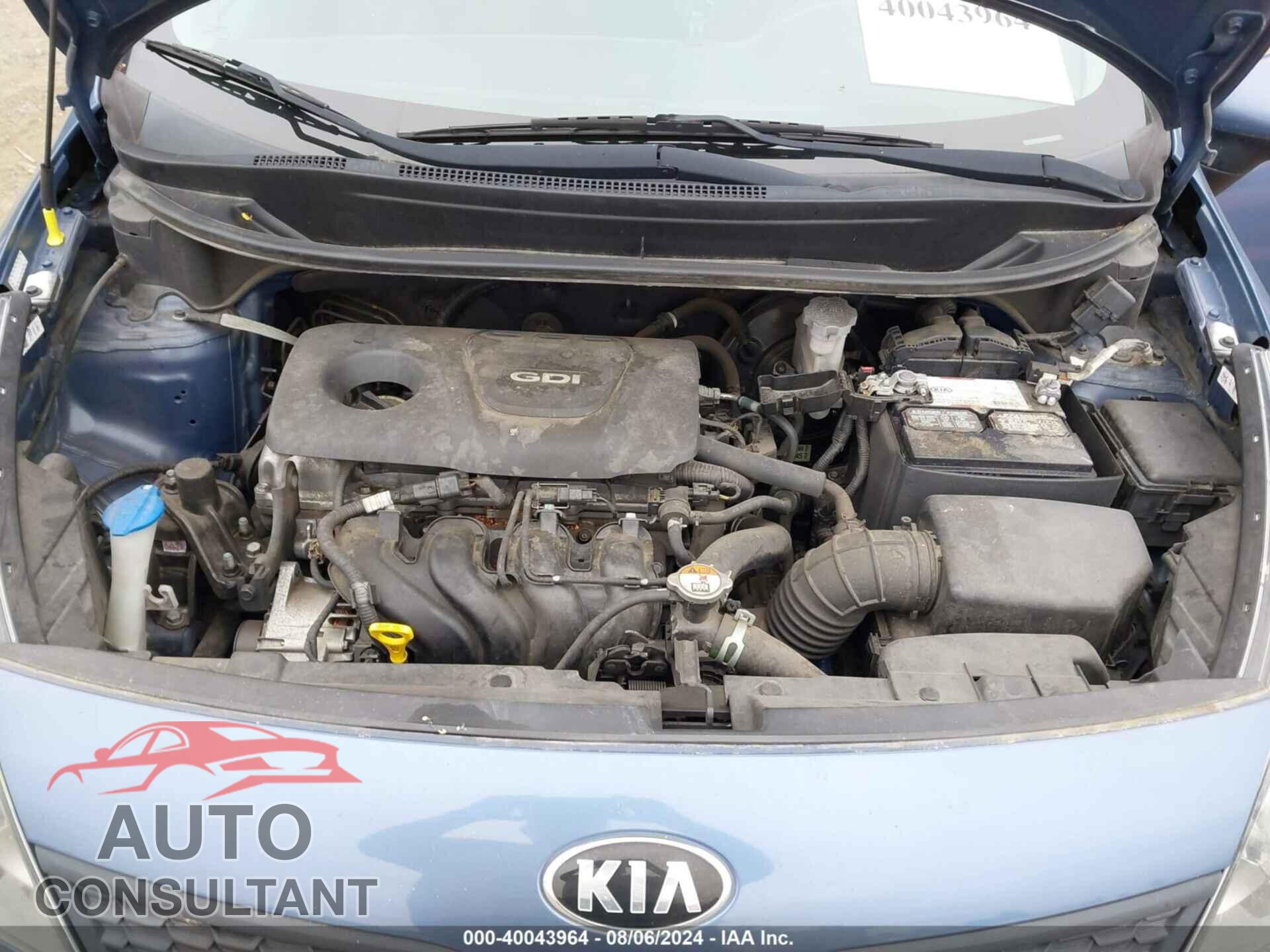 KIA RIO 2016 - KNADM4A33G6558564