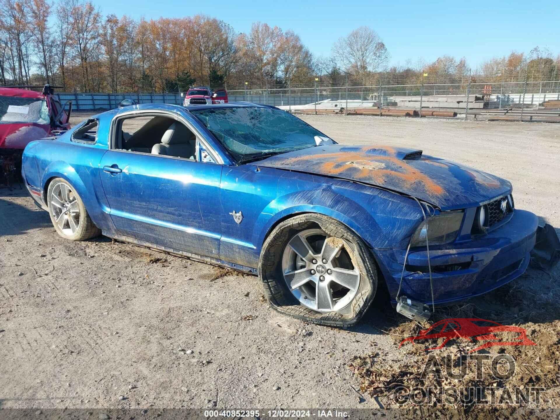 FORD MUSTANG 2009 - 1ZVHT82H895122338