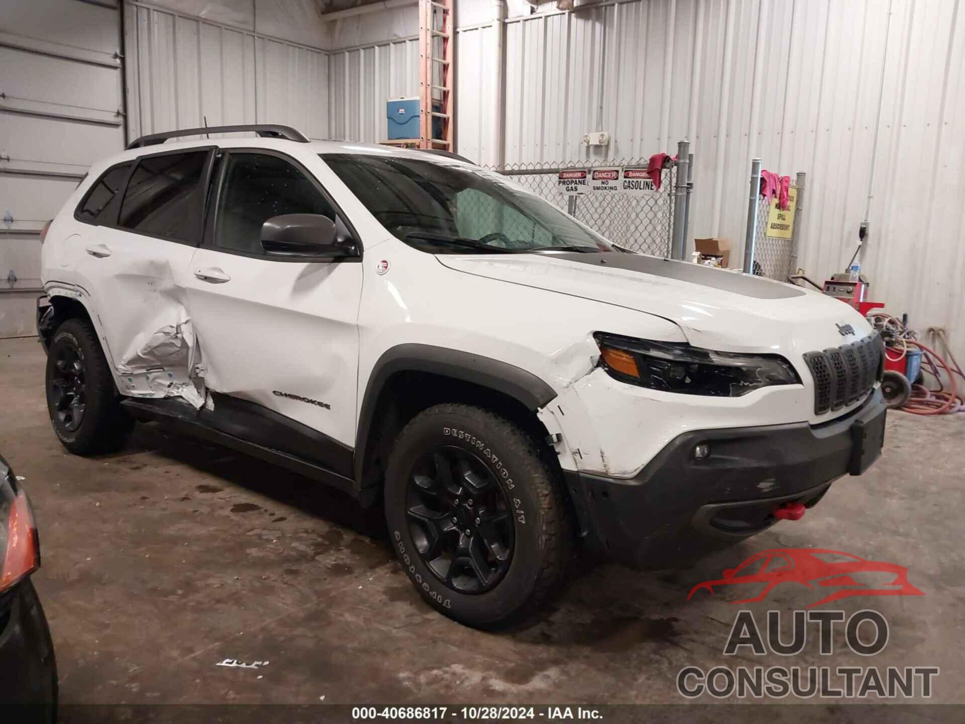 JEEP CHEROKEE 2020 - 1C4PJMBX4LD597339