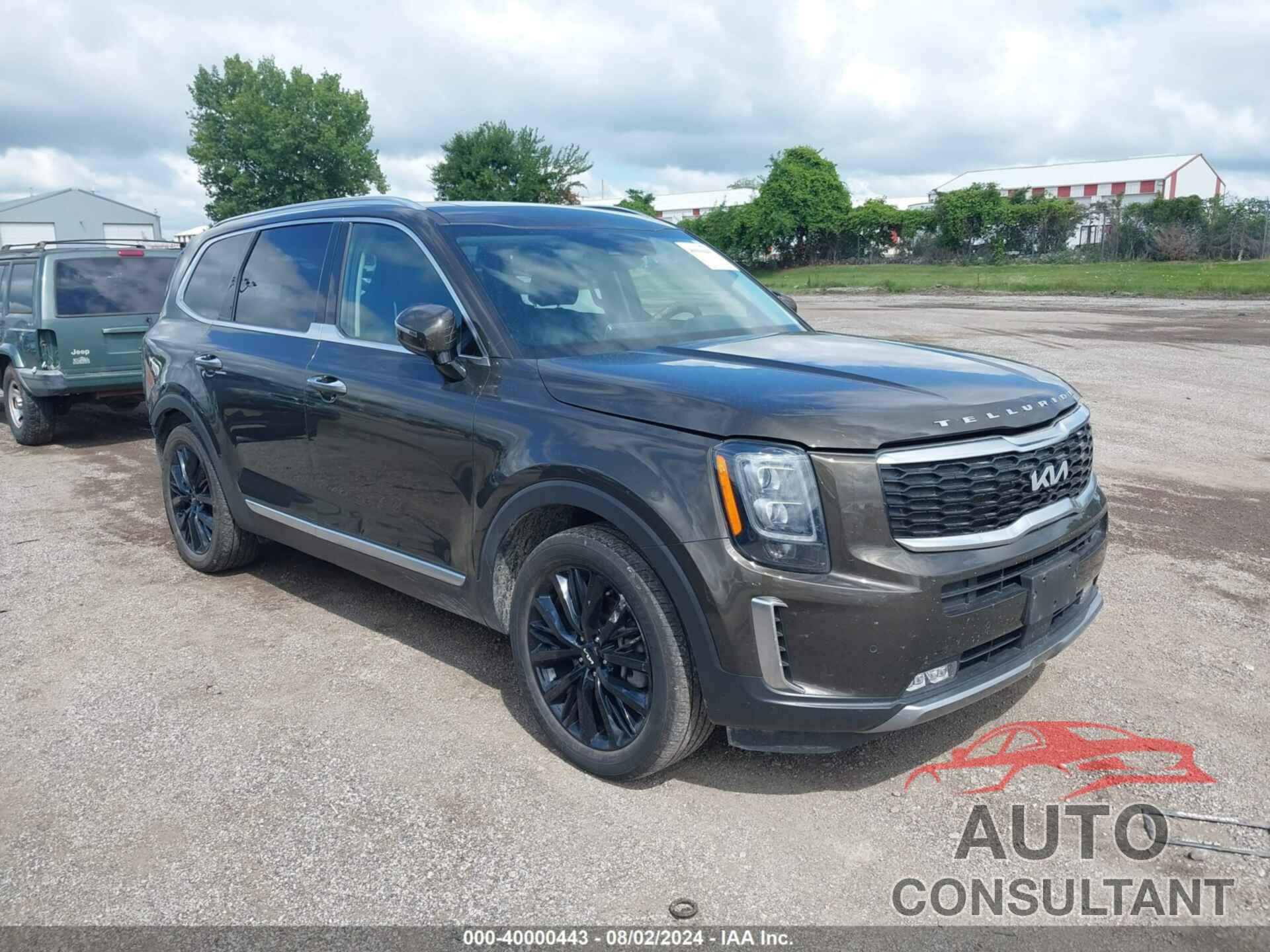 KIA TELLURIDE 2022 - 5XYP5DHC3NG205433