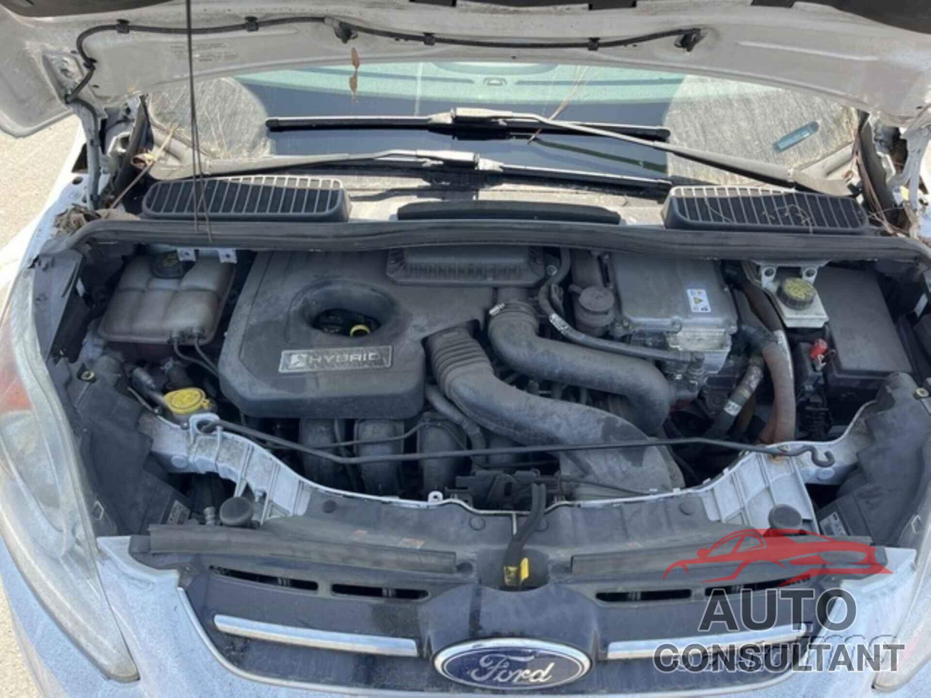 FORD C-MAX 2016 - 1FADP5AU6GL119701