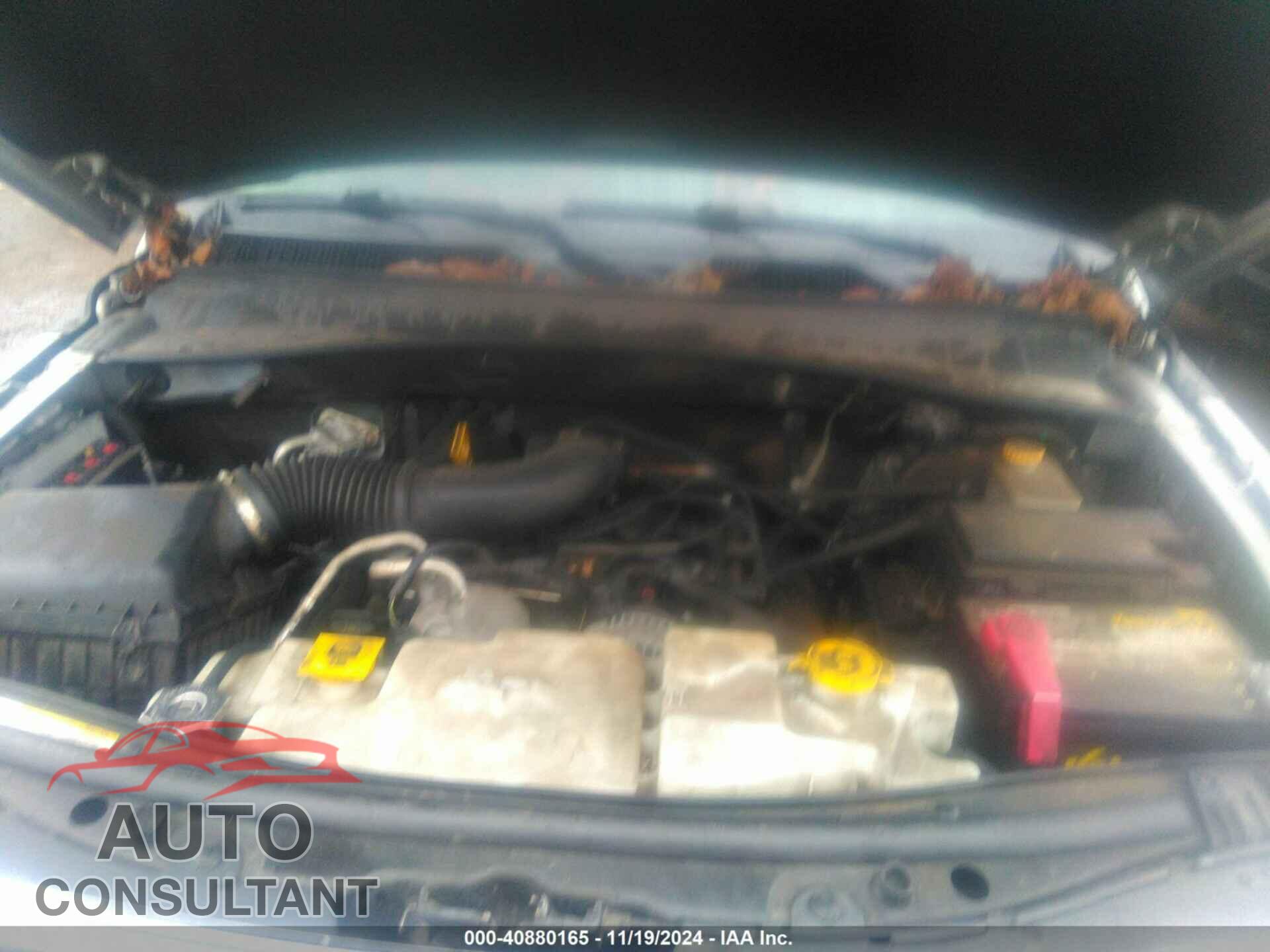 DODGE NITRO 2011 - 1D4PT4GK2BW600221