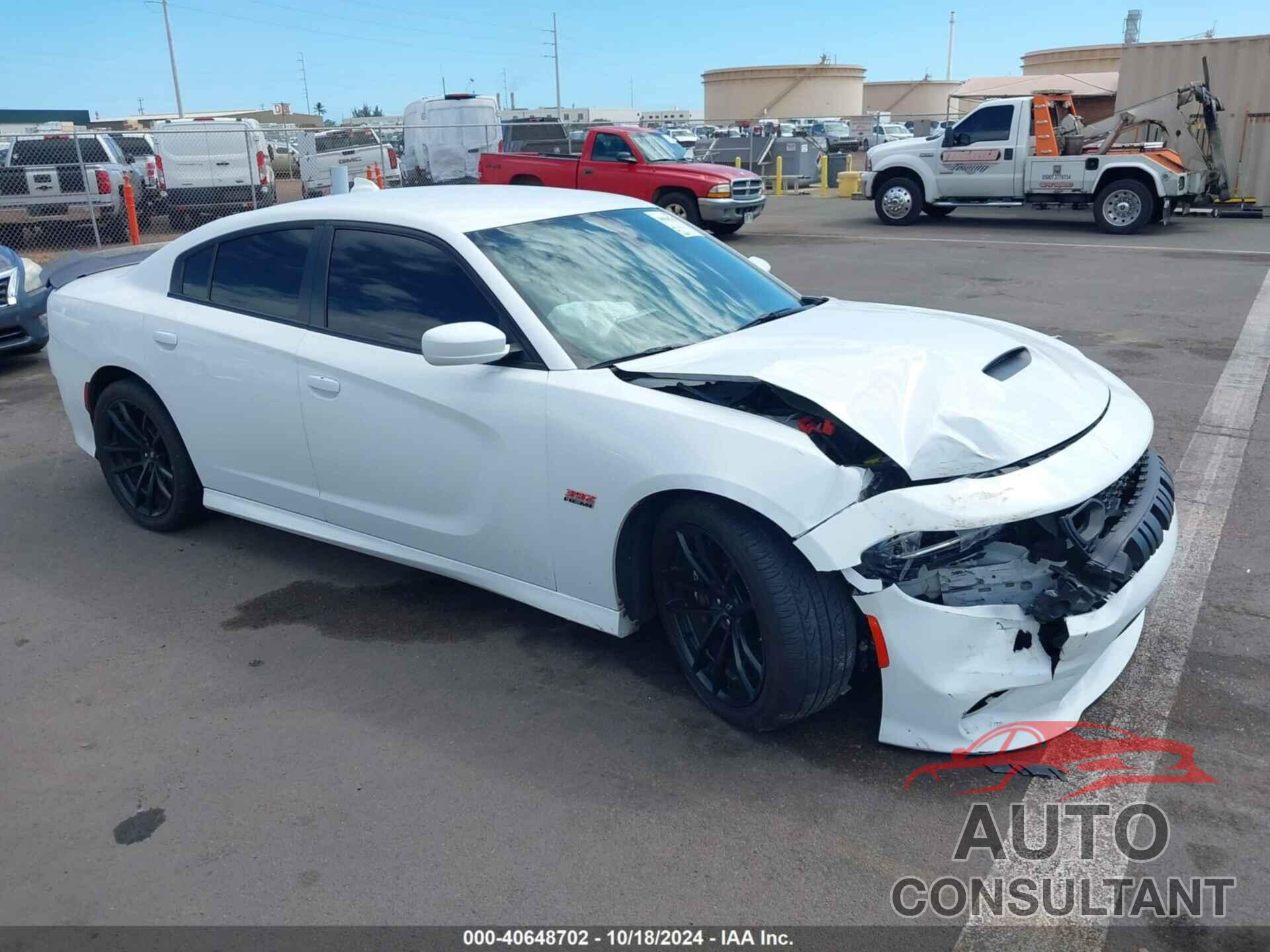 DODGE CHARGER 2021 - 2C3CDXGJ1MH678867