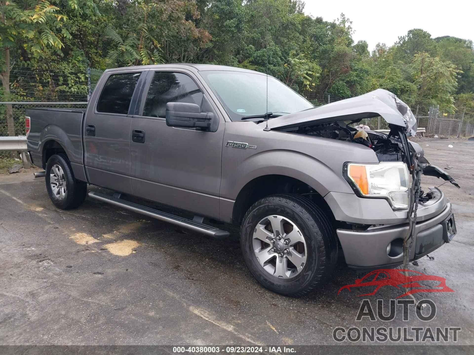 FORD F-150 2012 - 1FTEW1CM2CKD02892