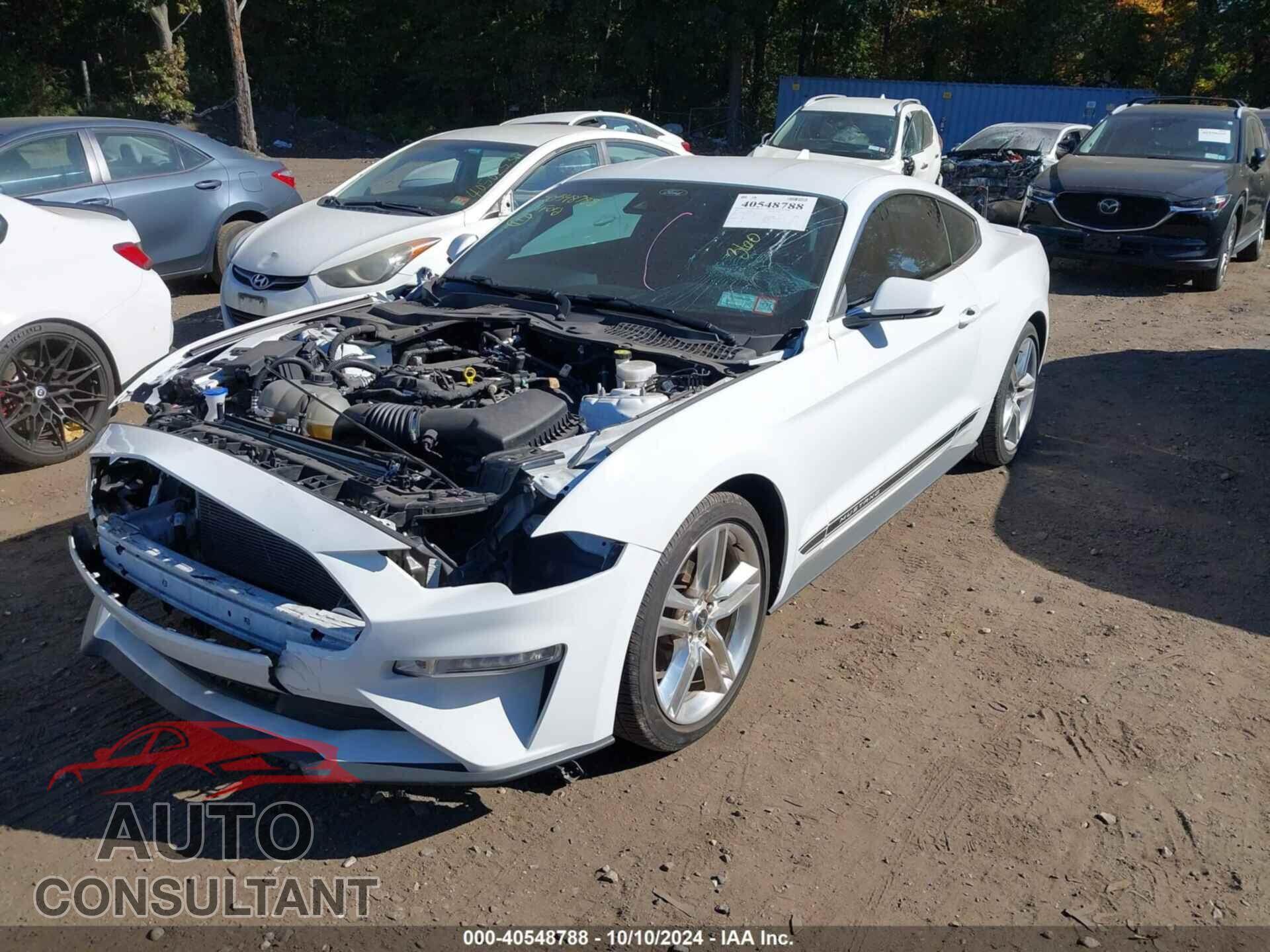 FORD MUSTANG 2021 - 1FA6P8TH3M5155548