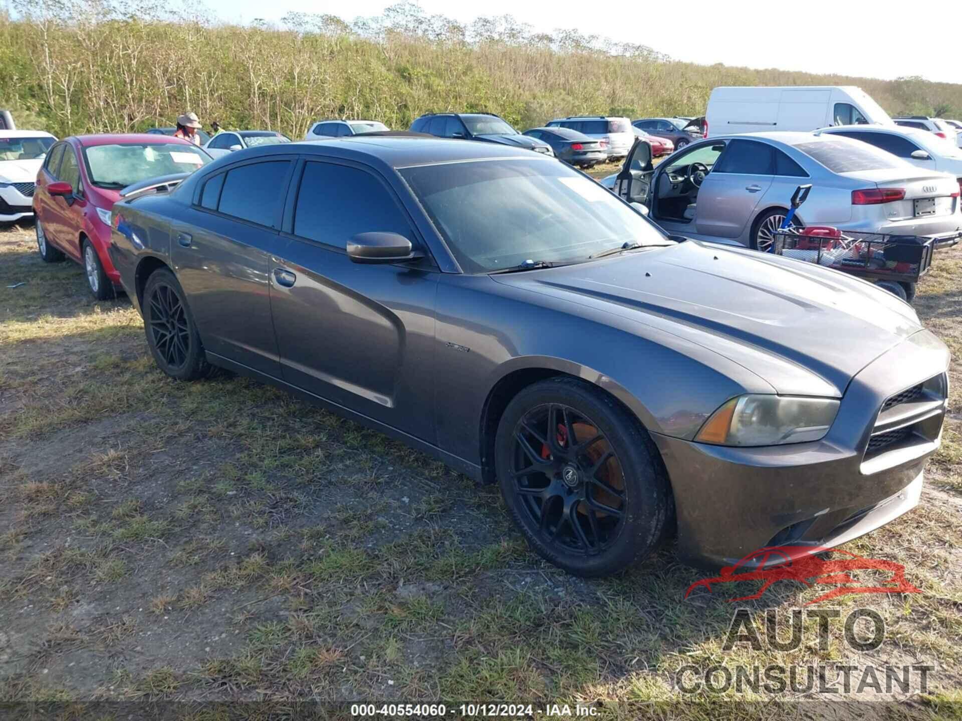 DODGE CHARGER 2013 - 2C3CDXCT9DH603065