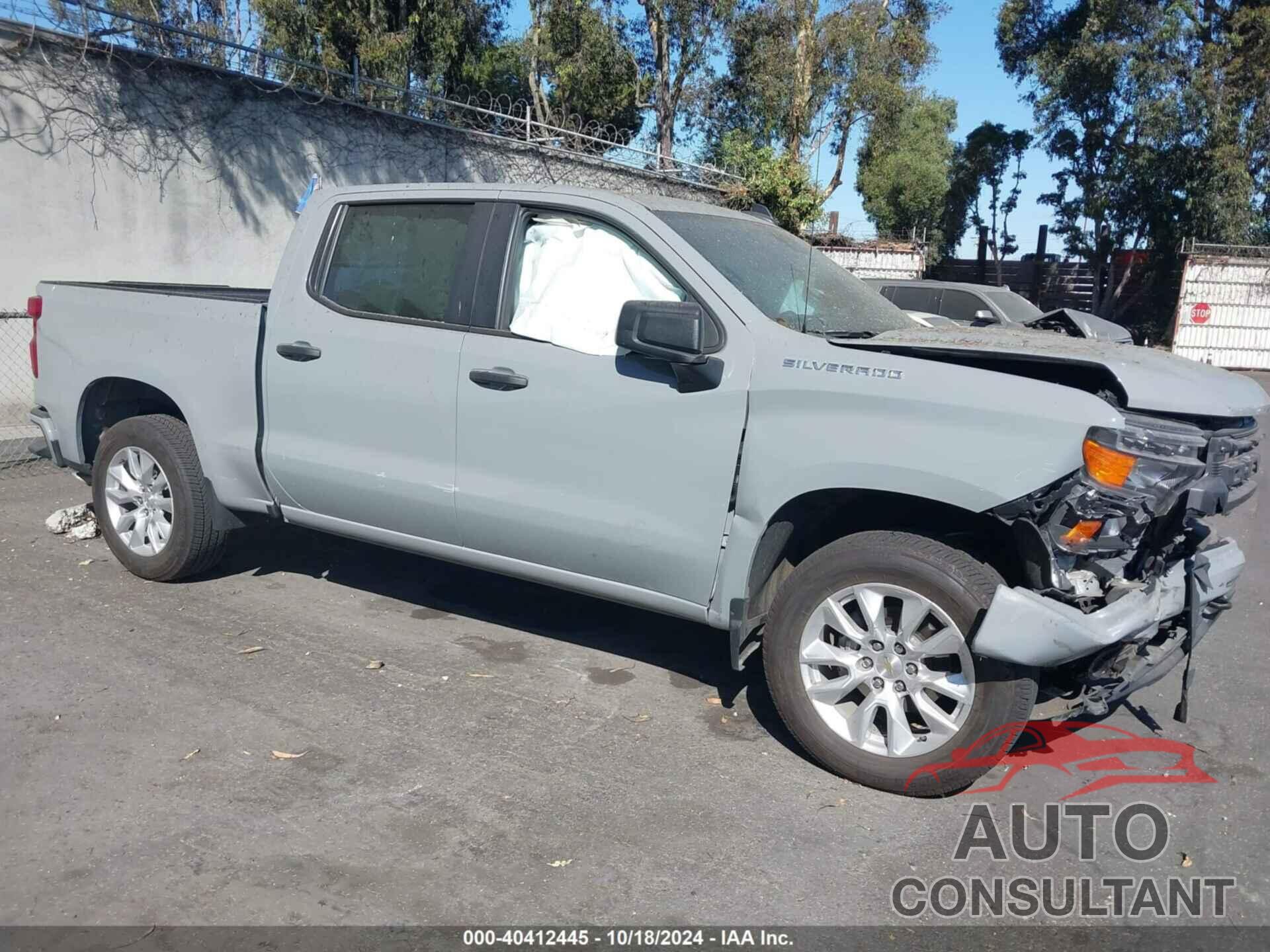 CHEVROLET SILVERADO 1500 2024 - 3GCPABEK5RG193174