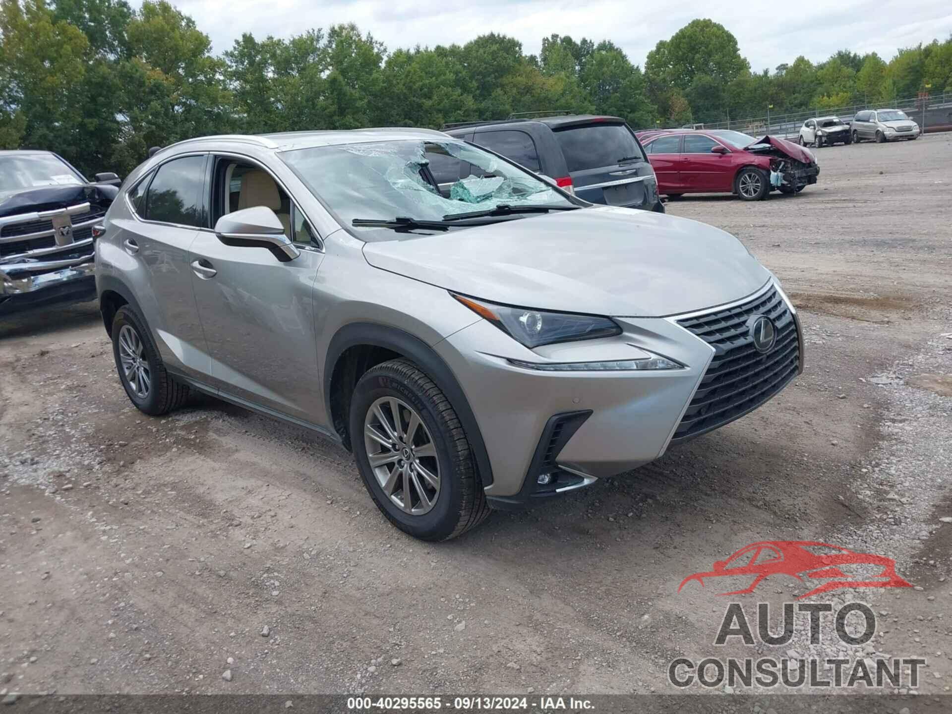 LEXUS NX 300 2018 - JTJYARBZ9J2095600