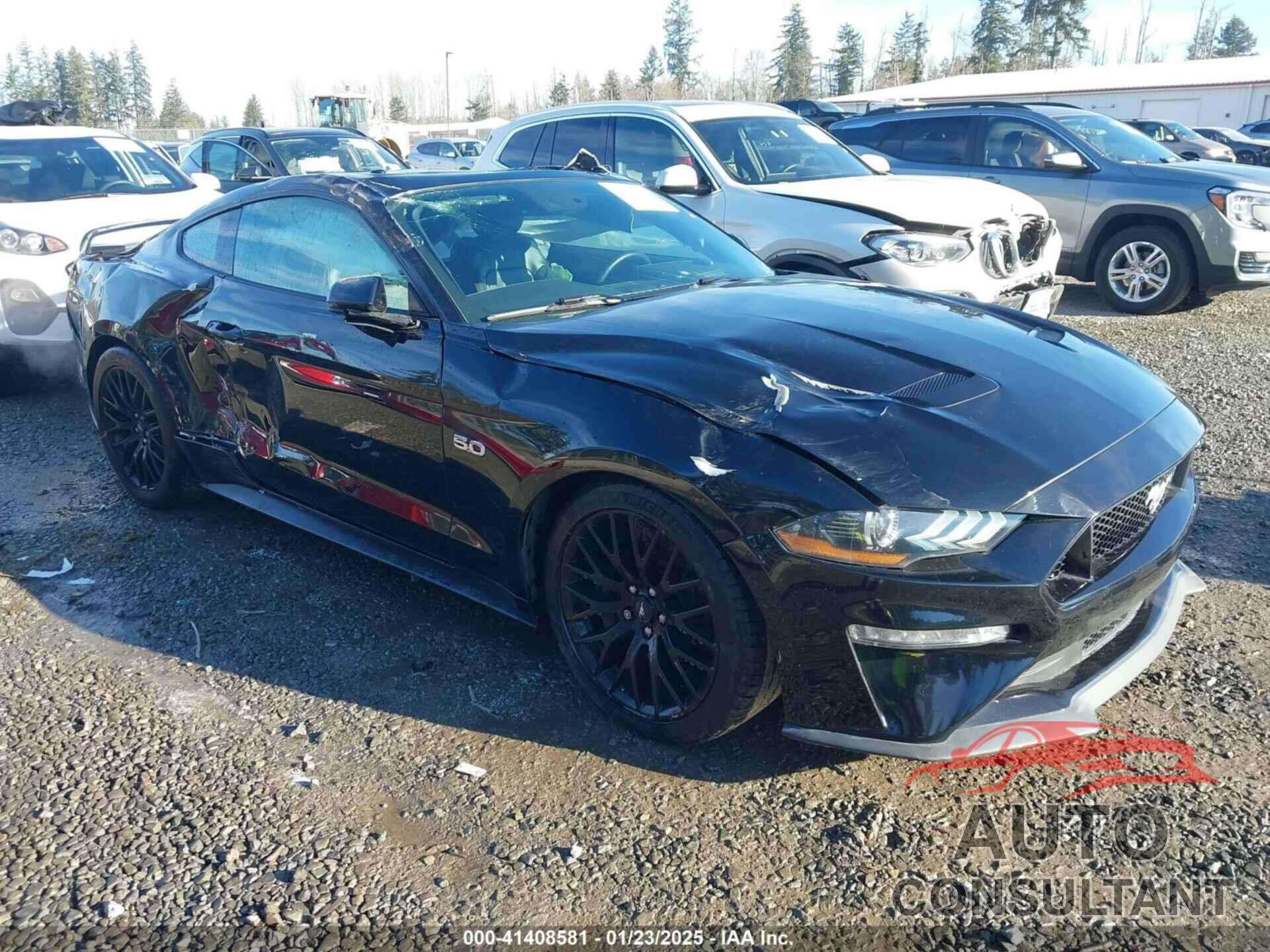 FORD MUSTANG 2019 - 1FA6P8CF0K5107372