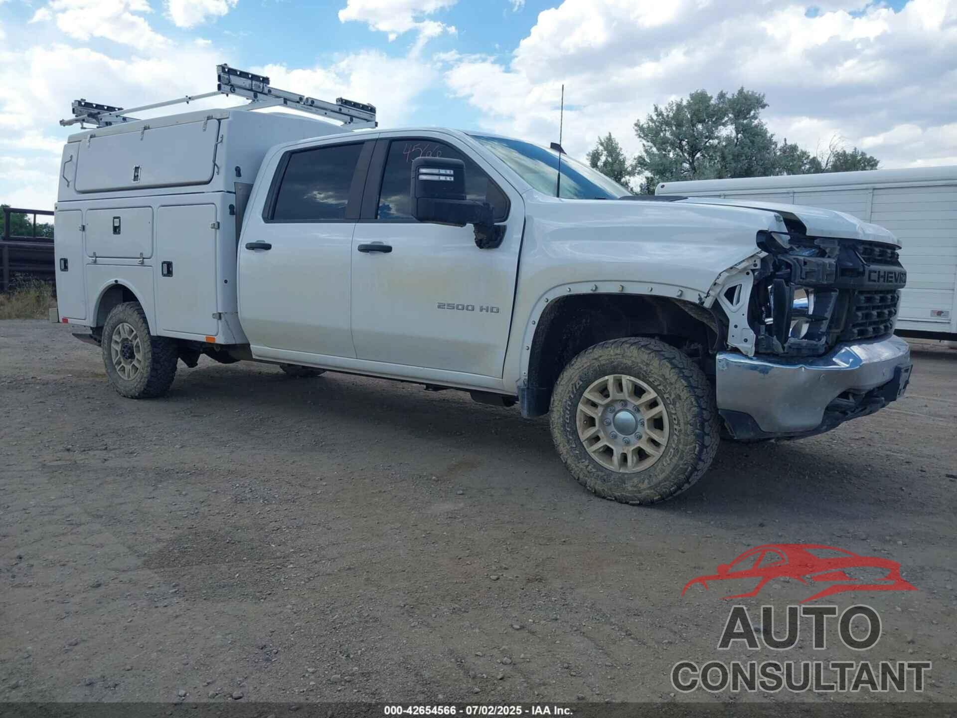 CHEVROLET SILVERADO 2500HD 2022 - 1GC1YLE72NF183149
