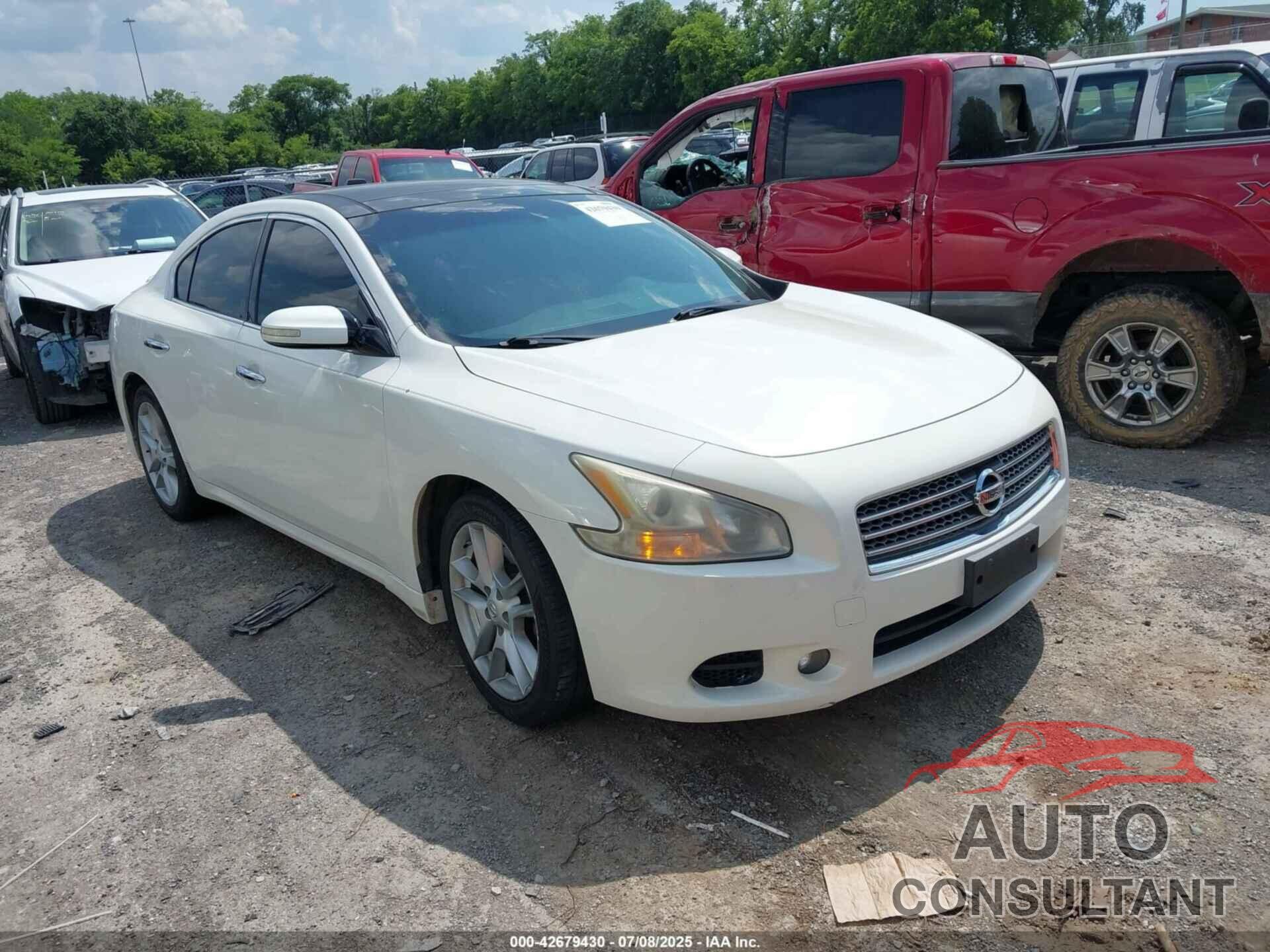 NISSAN MAXIMA 2010 - 1N4AA5APXAC839489