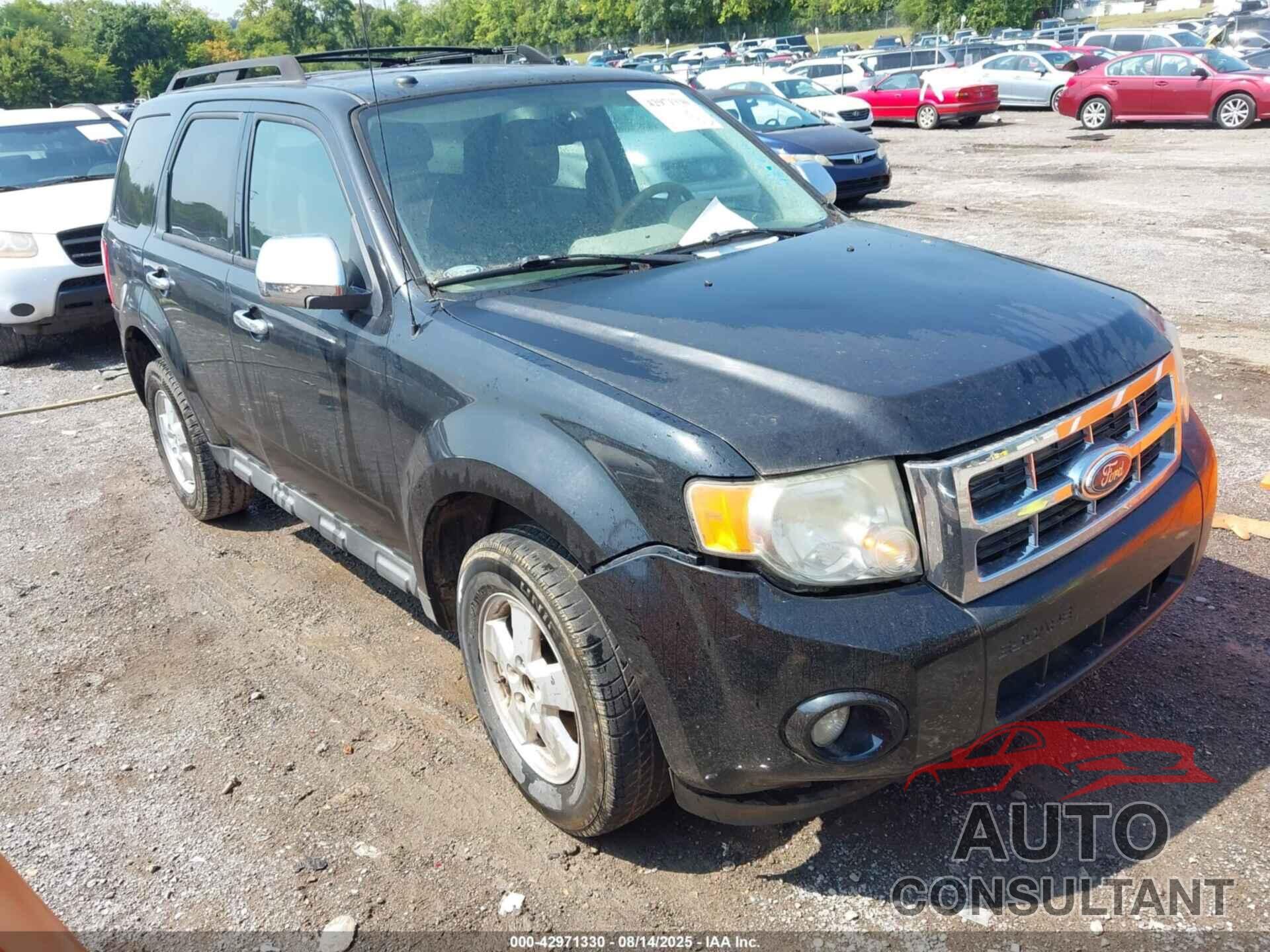 FORD ESCAPE 2011 - 1FMCU0D77BKA90713