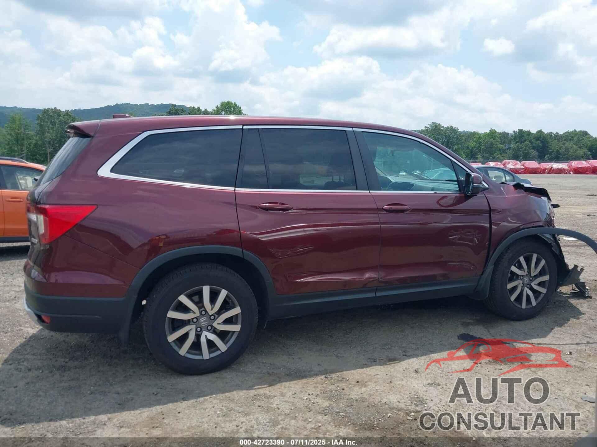 HONDA PILOT 2019 - 5FNYF6H36KB079911