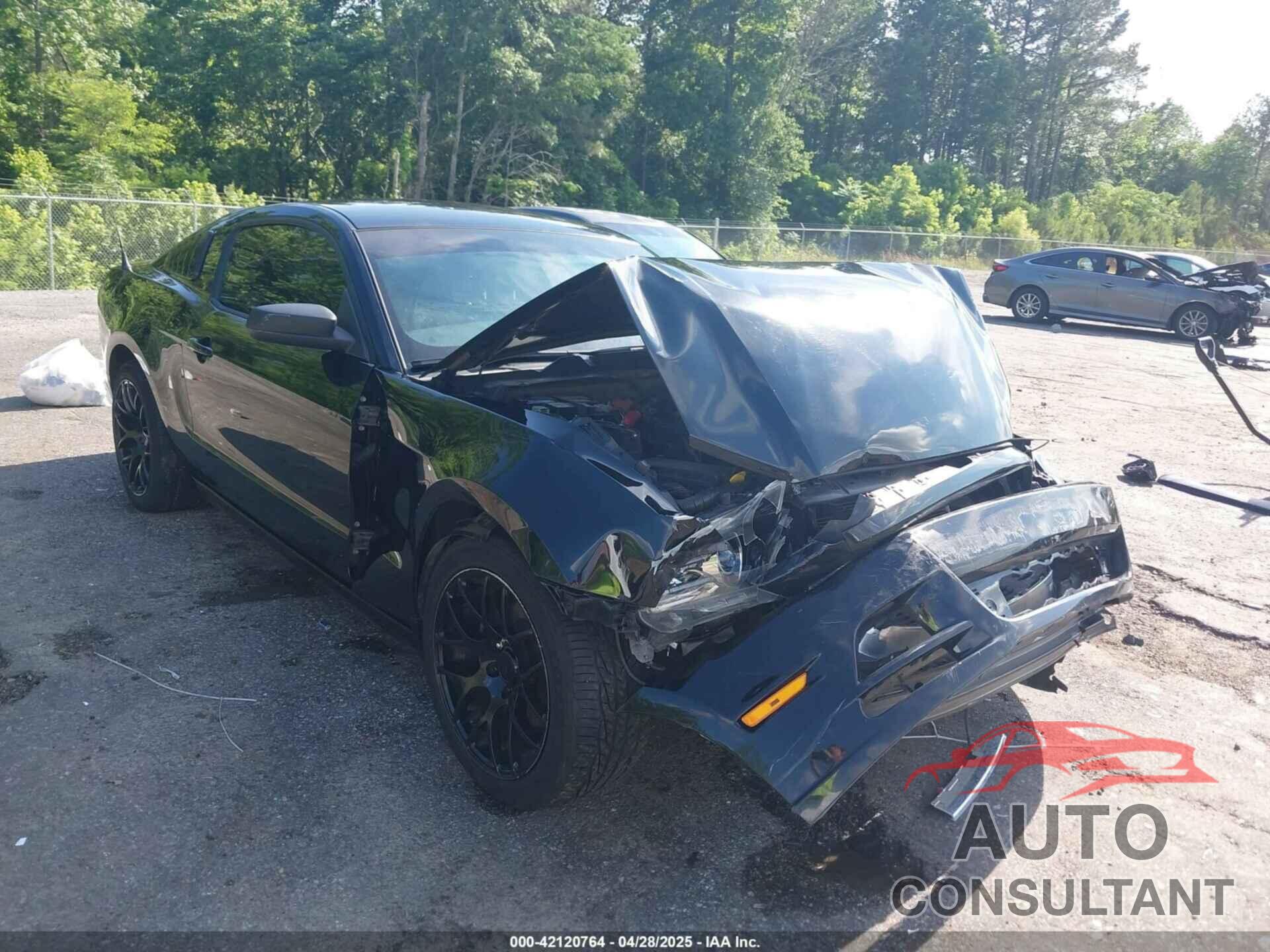 FORD MUSTANG 2014 - 1ZVBP8AM7E5324901