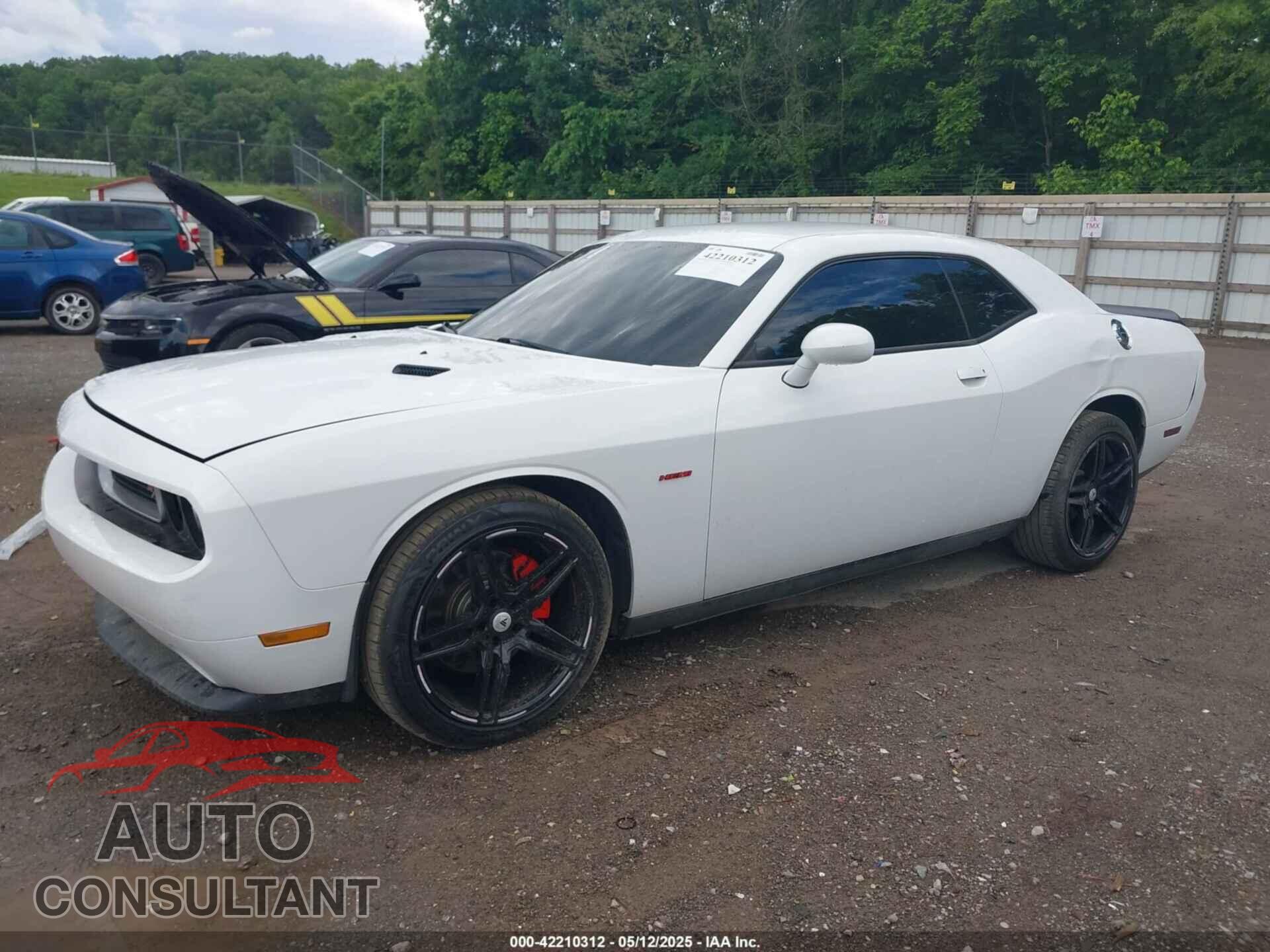 DODGE CHALLENGER 2012 - 2C3CDYBT2CH155385