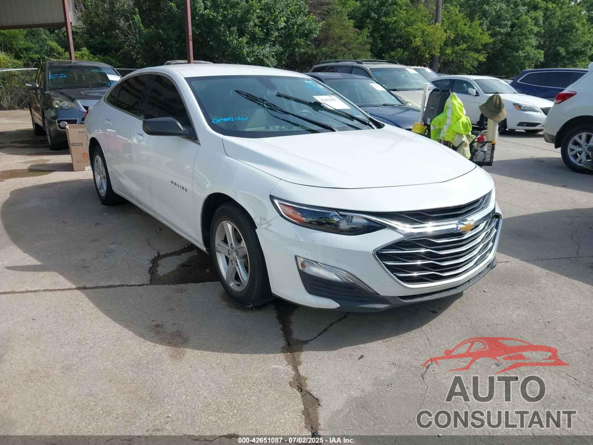 CHEVROLET MALIBU 2019 - 1G1ZB5ST4KF183529
