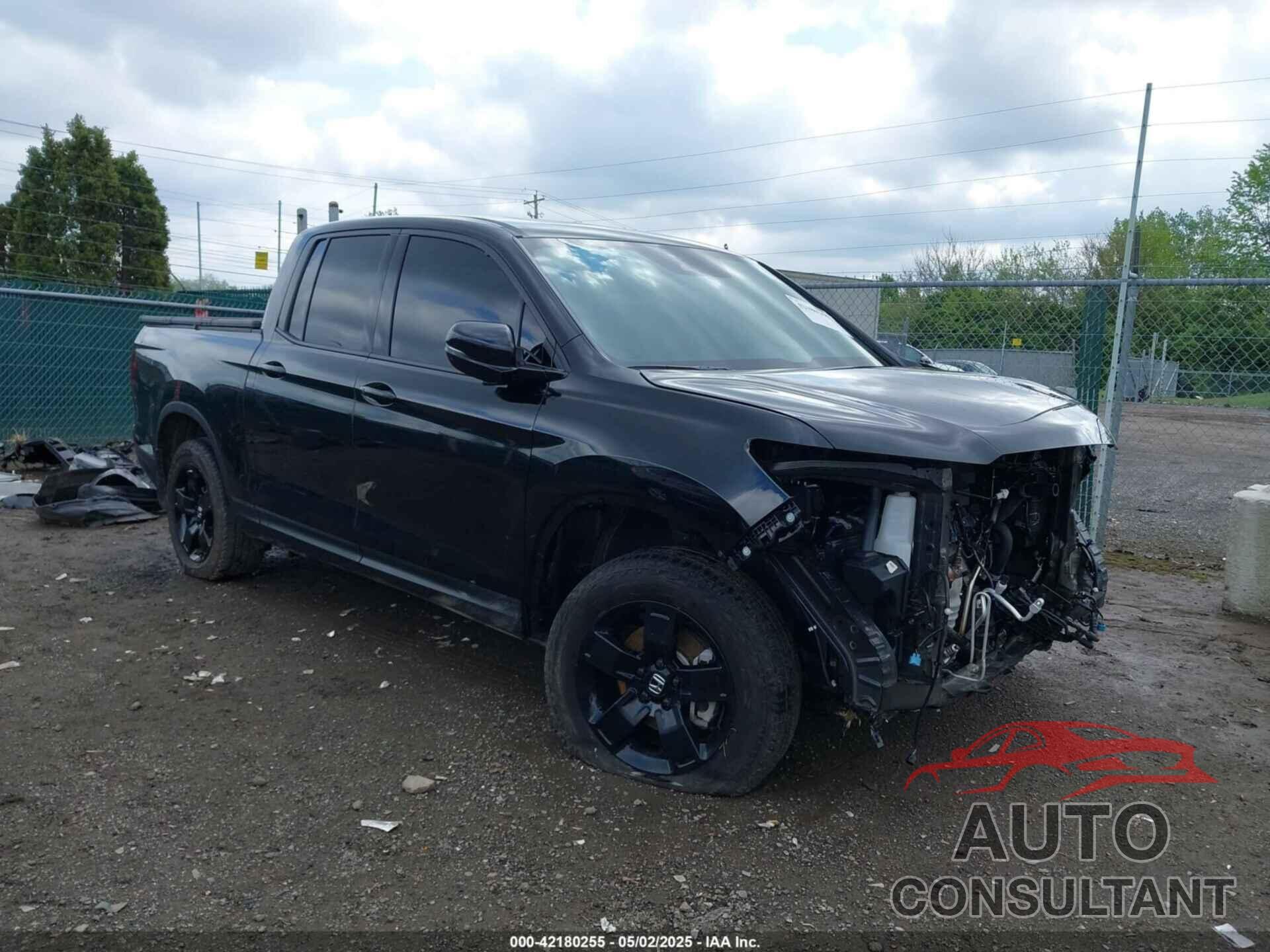 HONDA RIDGELINE 2024 - 5FPYK3F86RB030458