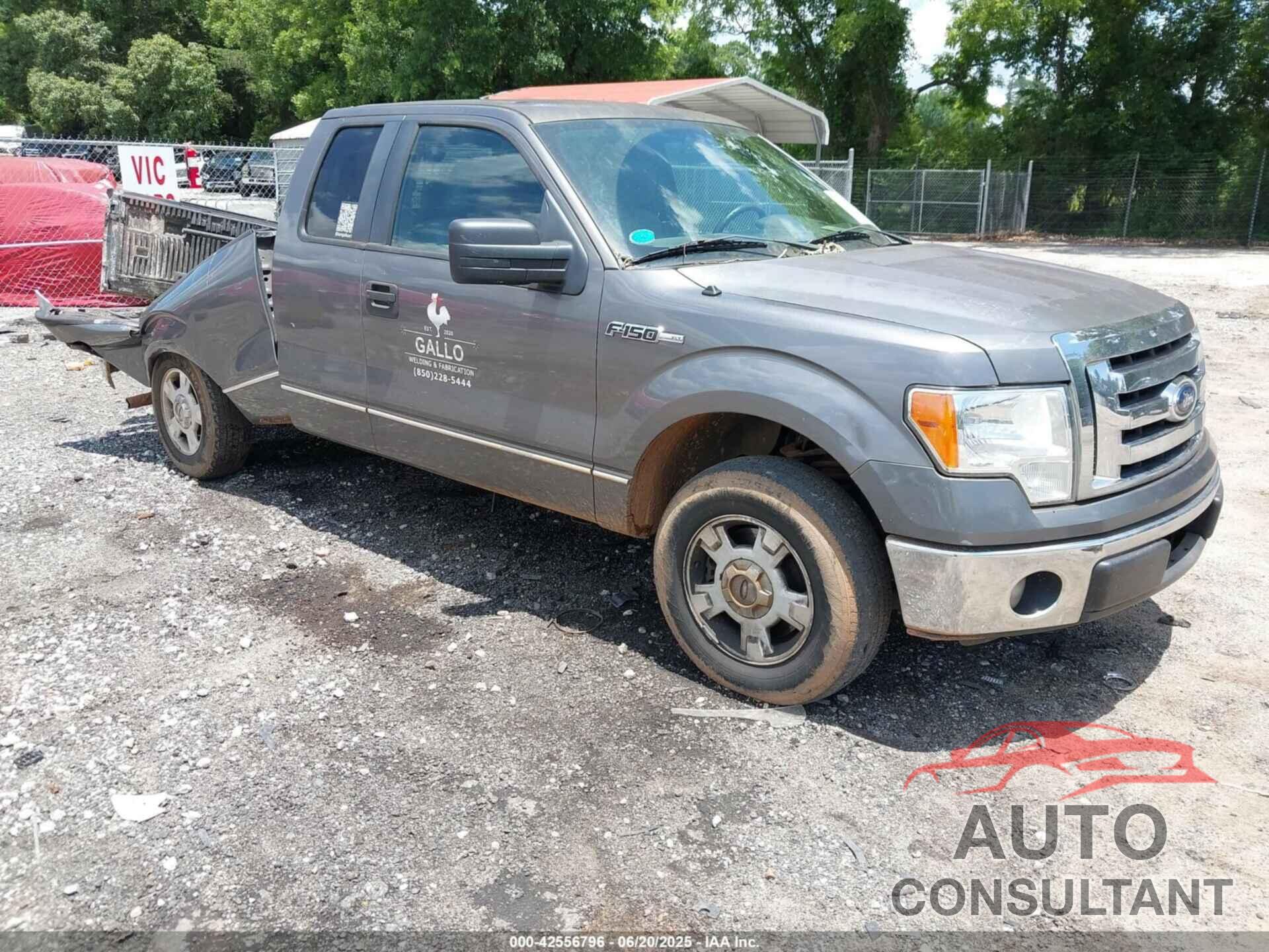 FORD F-150 2011 - 1FTEX1CM6BFC69125