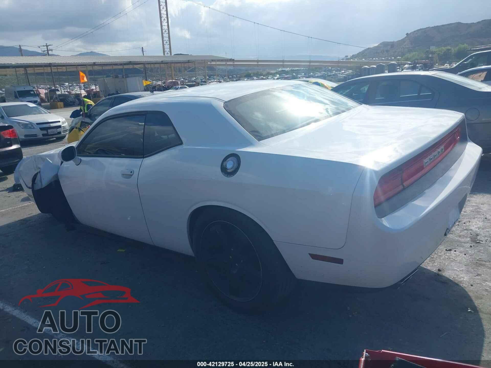 DODGE CHALLENGER 2013 - 2C3CDYAG3DH524258