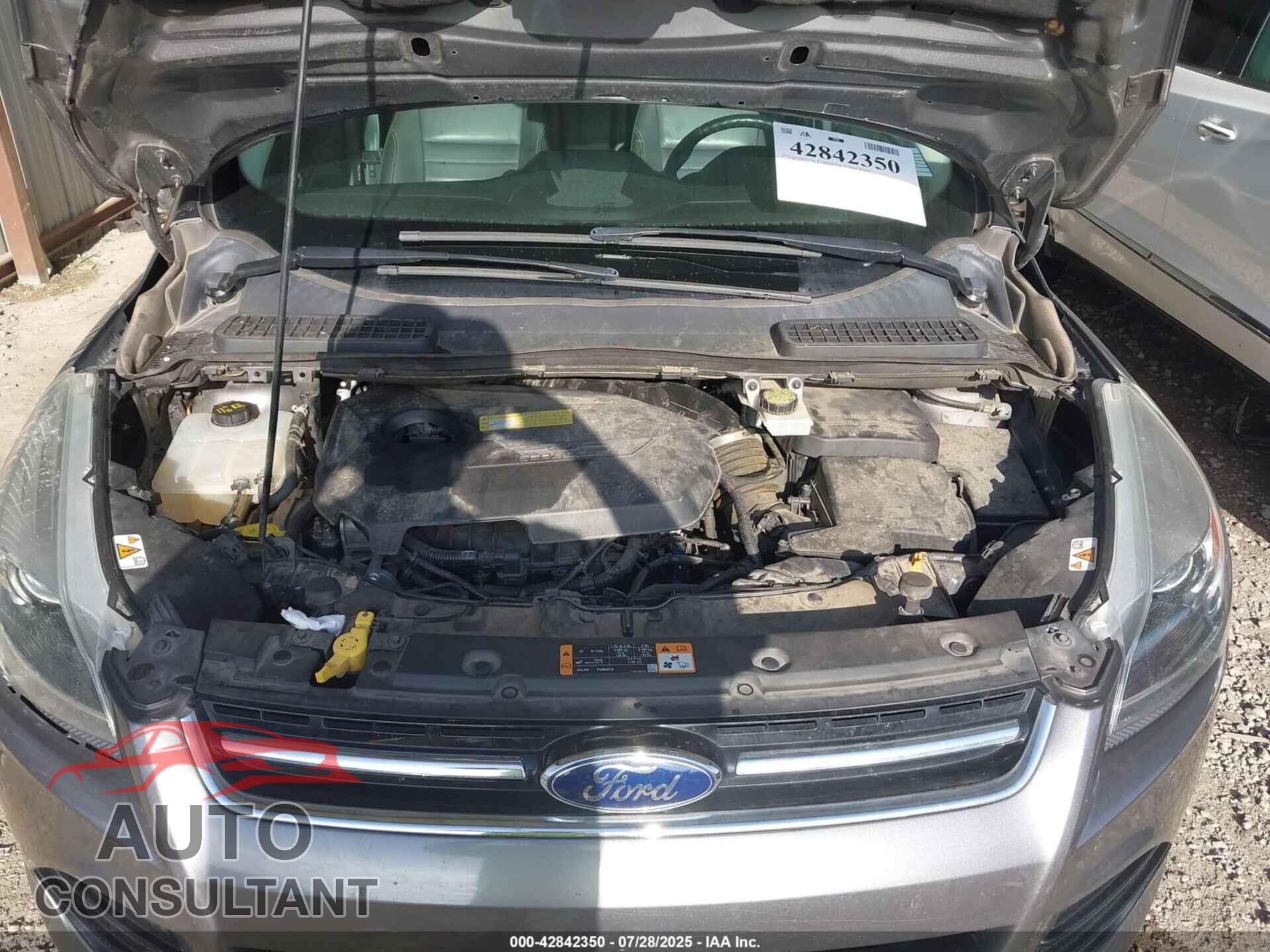 FORD ESCAPE 2014 - 1FMCU0JX2EUB12498
