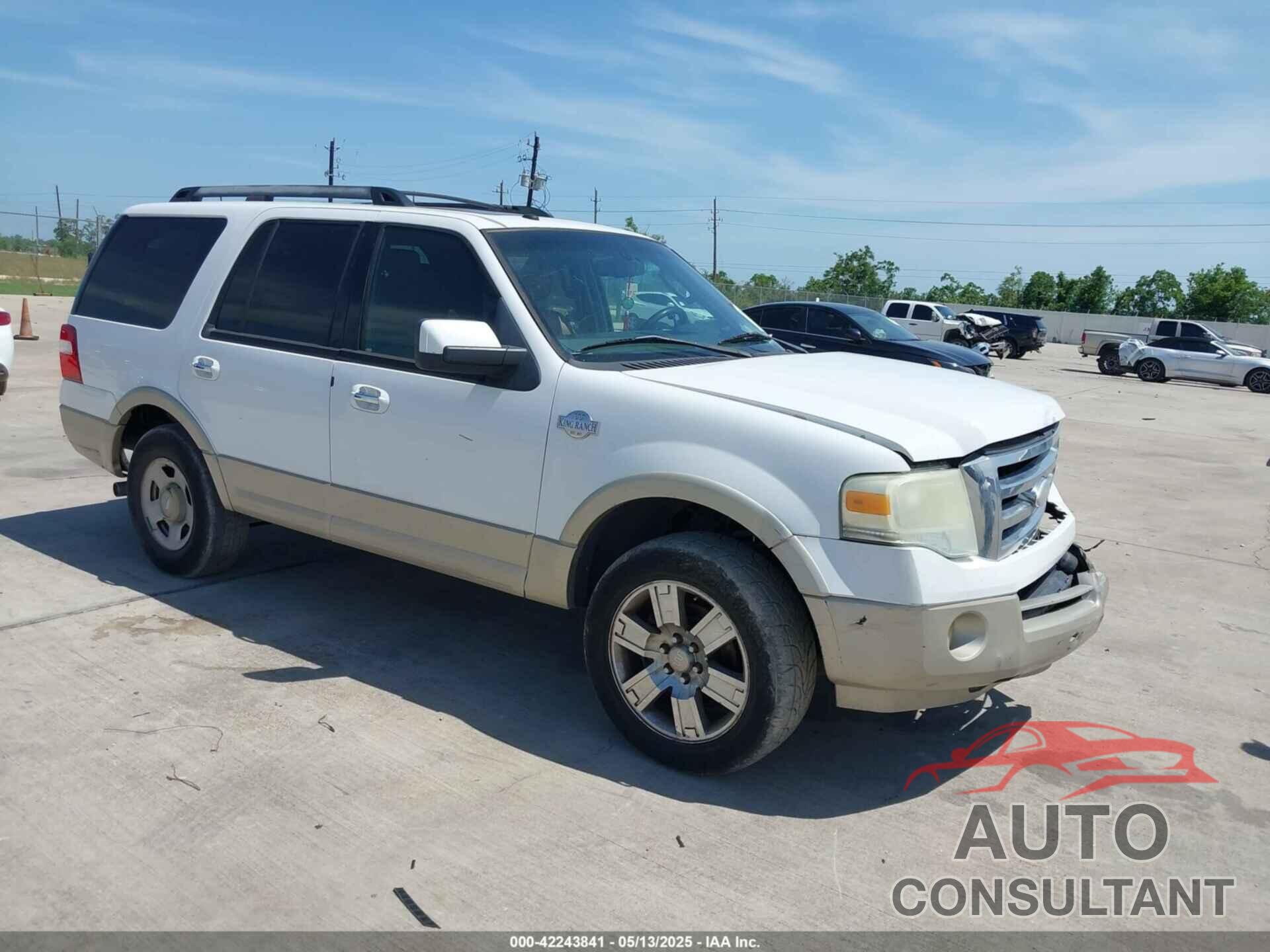FORD EXPEDITION 2009 - 1FMFU17589EA97062