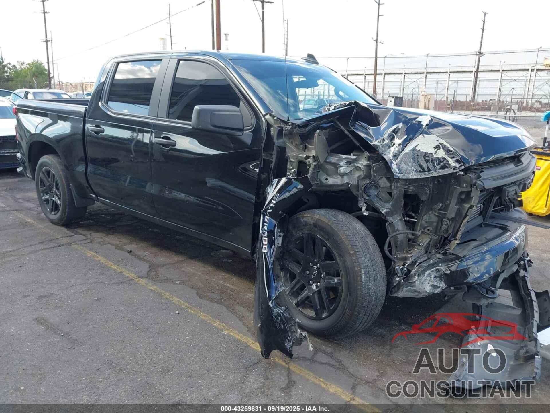 CHEVROLET SILVERADO 1500 2024 - 3GCPABEK9RG462079