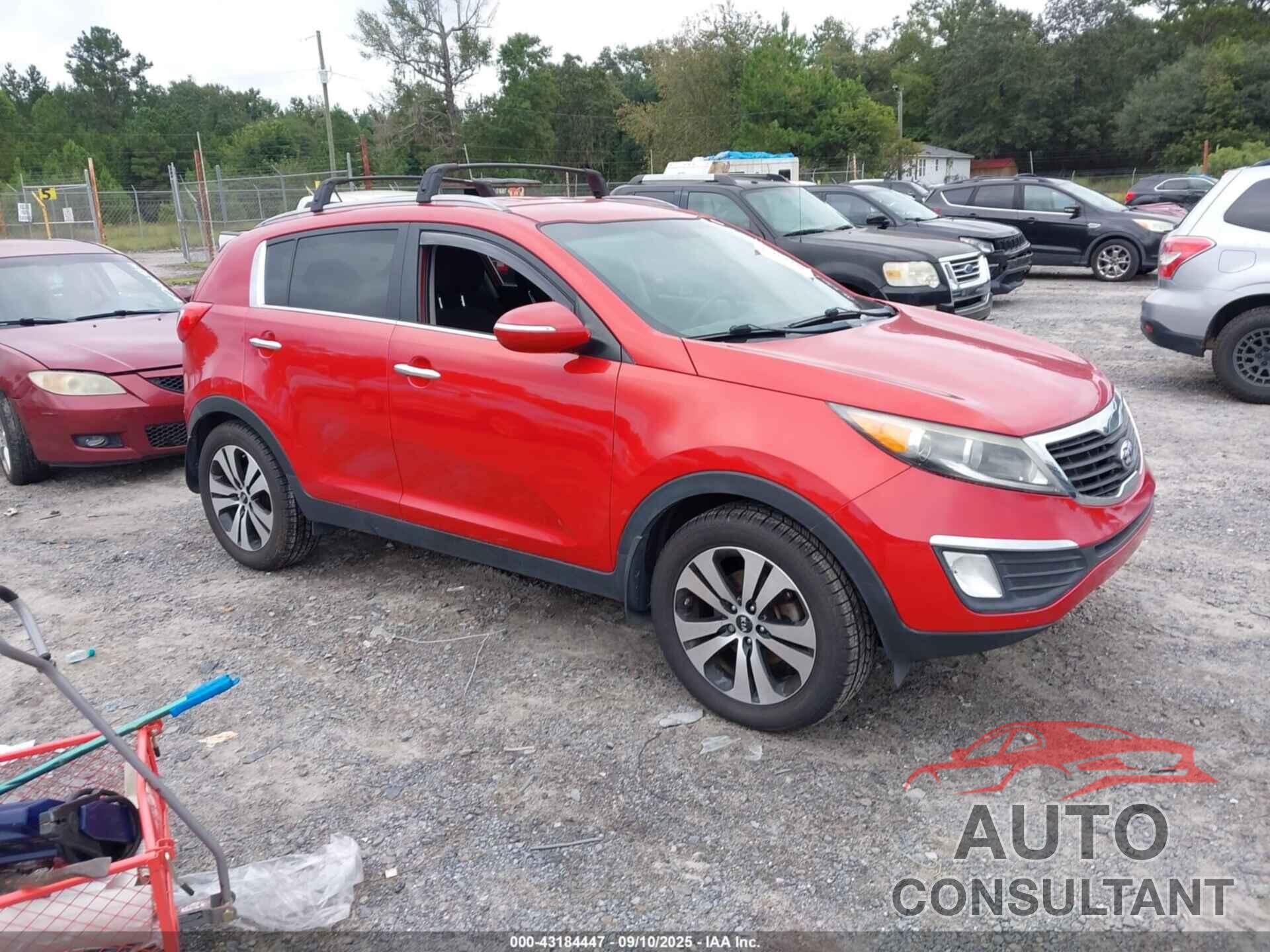KIA SPORTAGE 2013 - KNDPC3A20D7503502