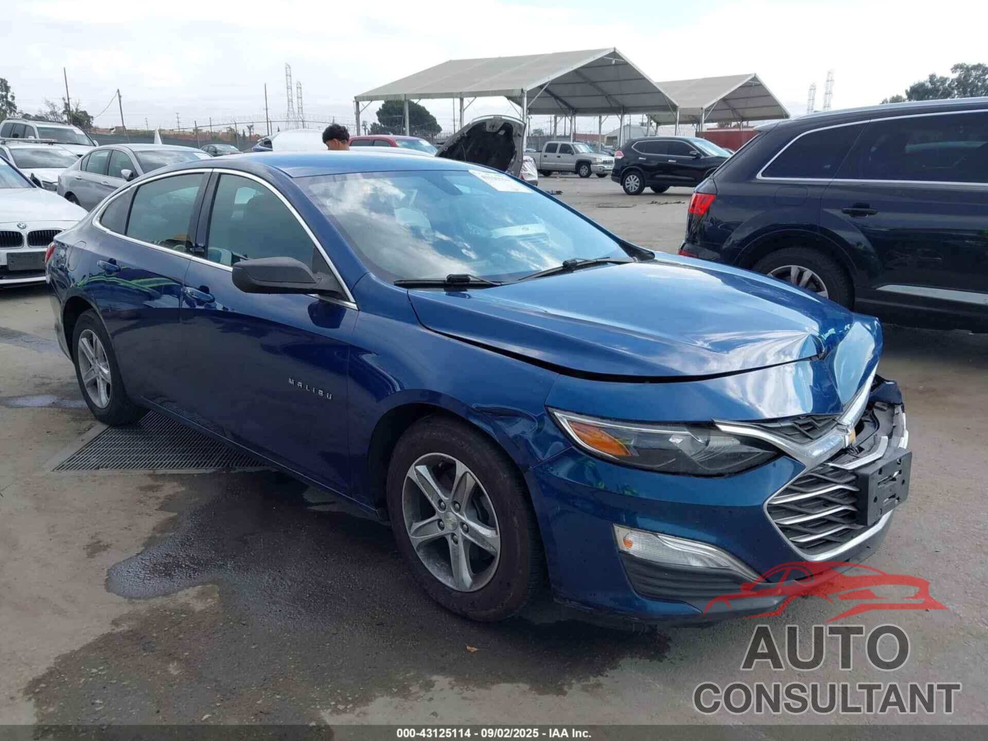 CHEVROLET MALIBU 2019 - 1G1ZB5ST7KF128668