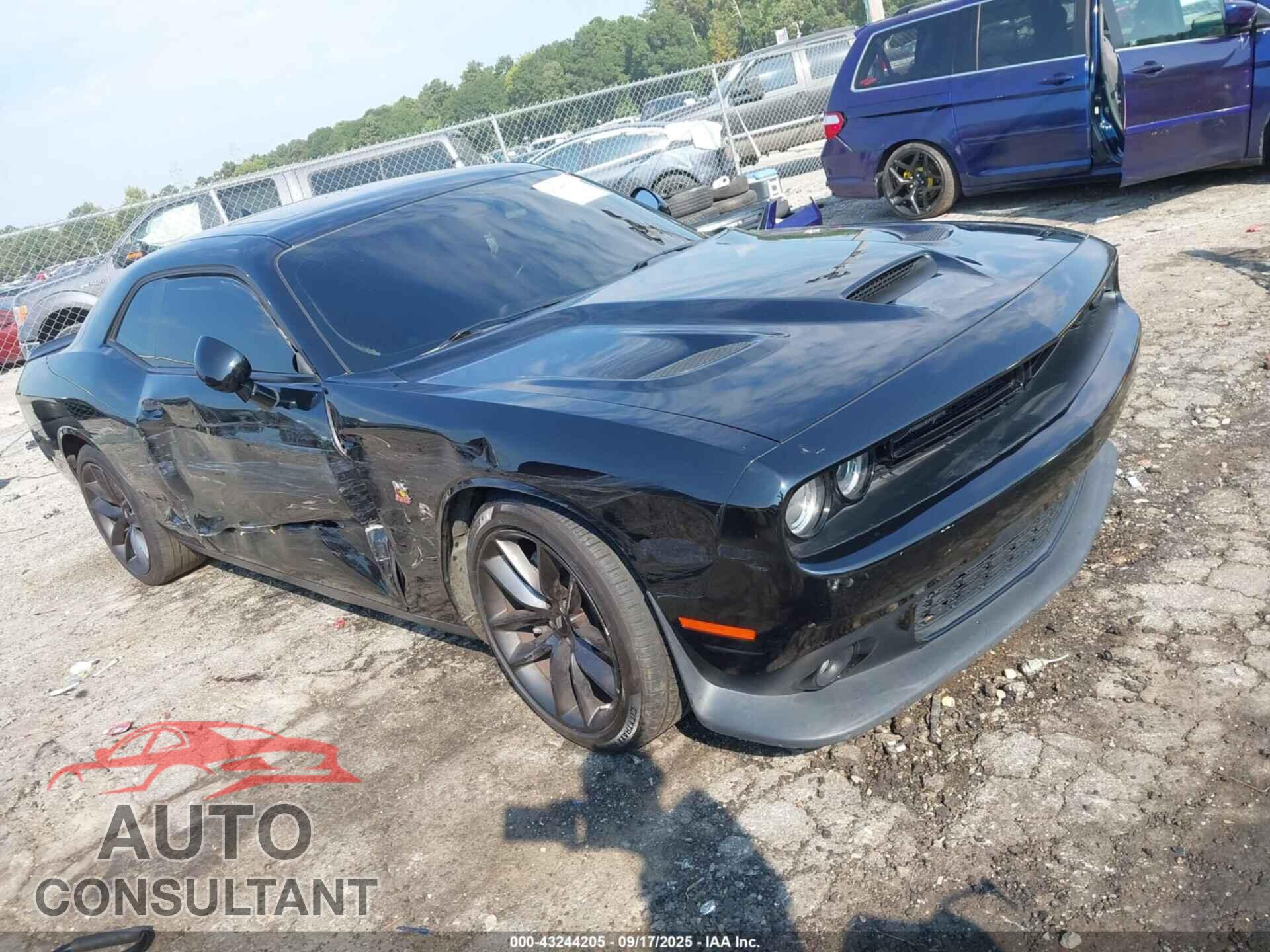DODGE CHALLENGER 2019 - 2C3CDZFJXKH546491