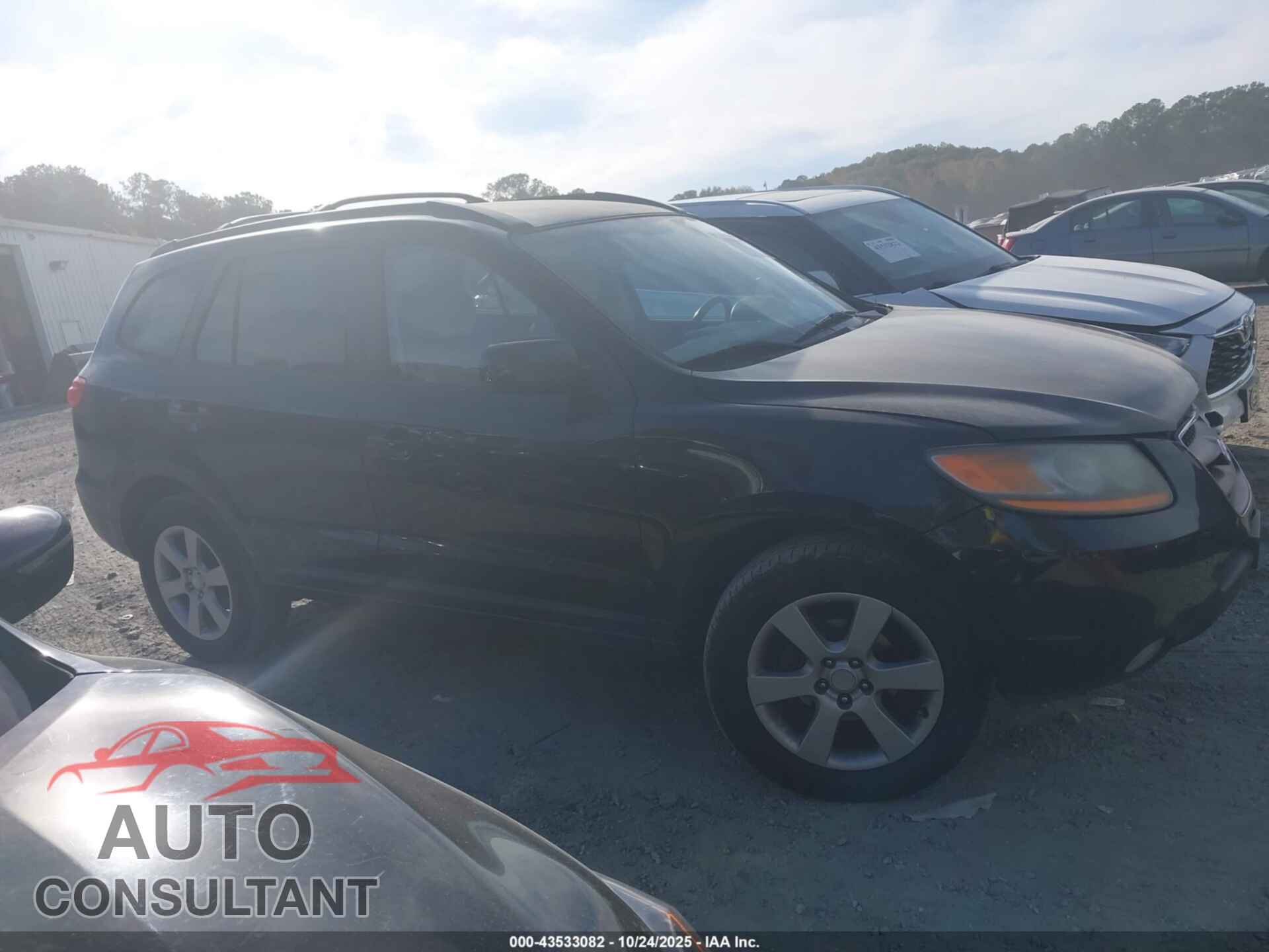 HYUNDAI SANTA FE 2009 - 5NMSH13E29H257124