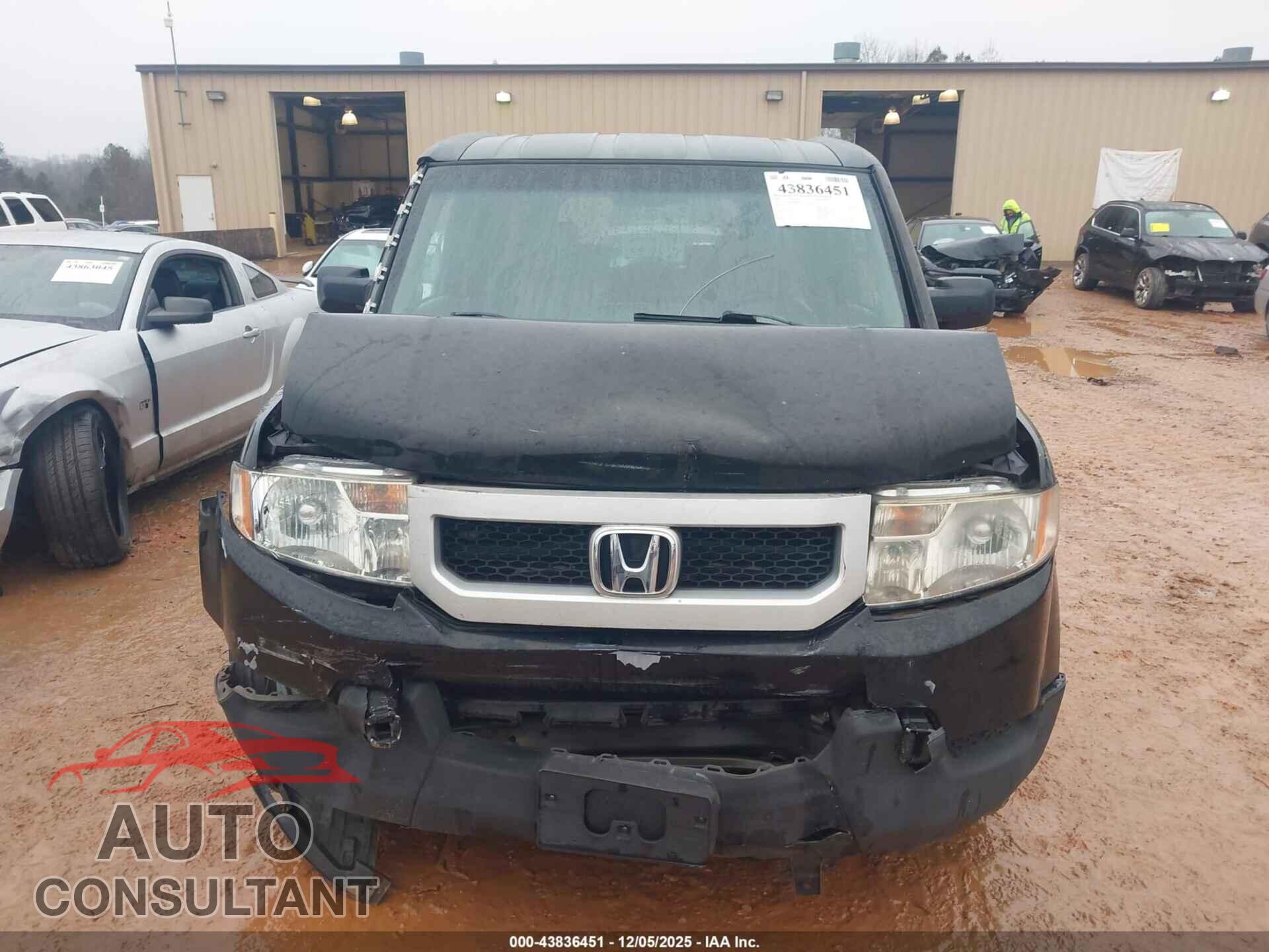 HONDA ELEMENT 2009 - 5J6YH28749L001876