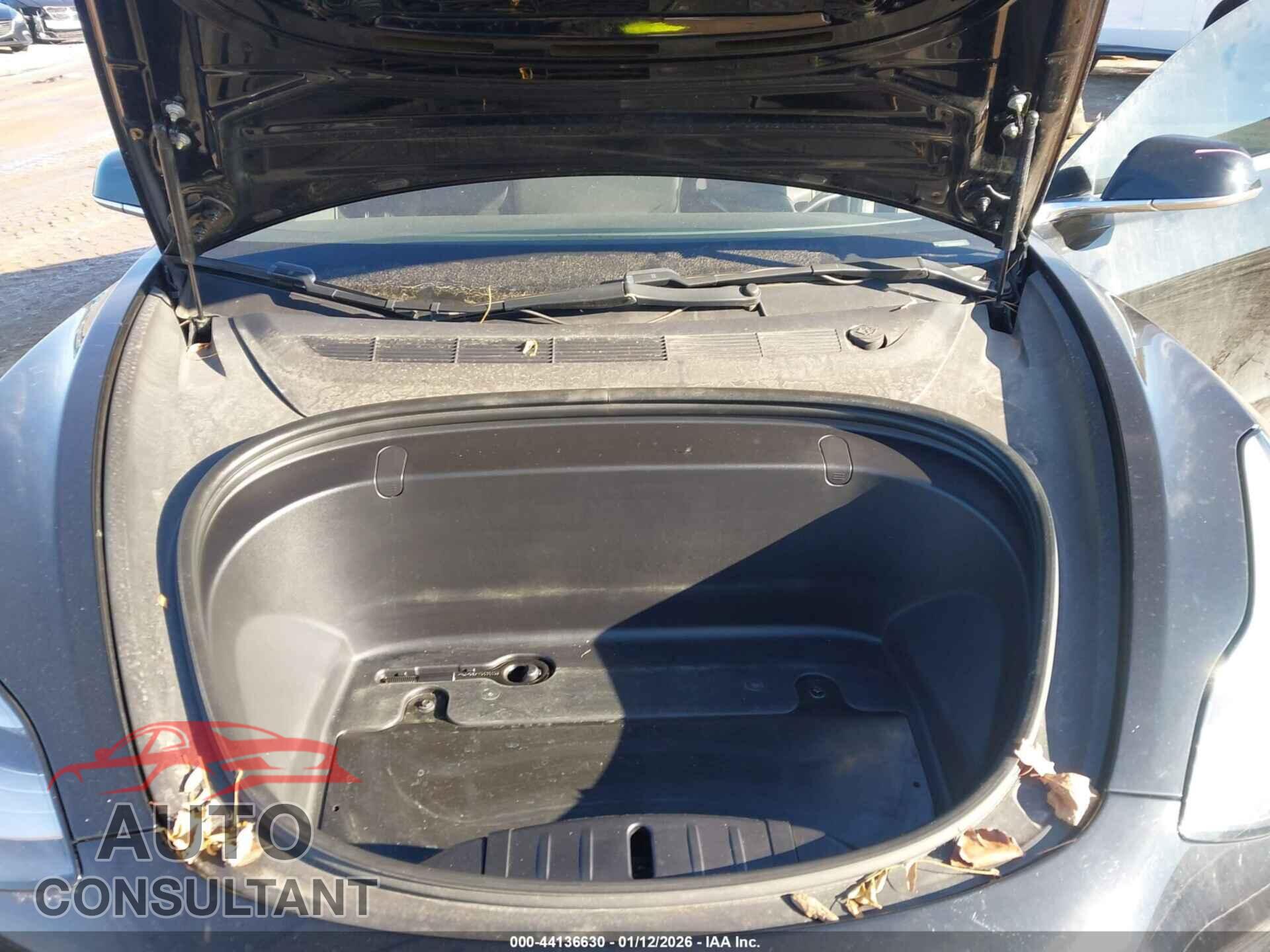 TESLA MODEL 3 2019 - 5YJ3E1EA9KF304681