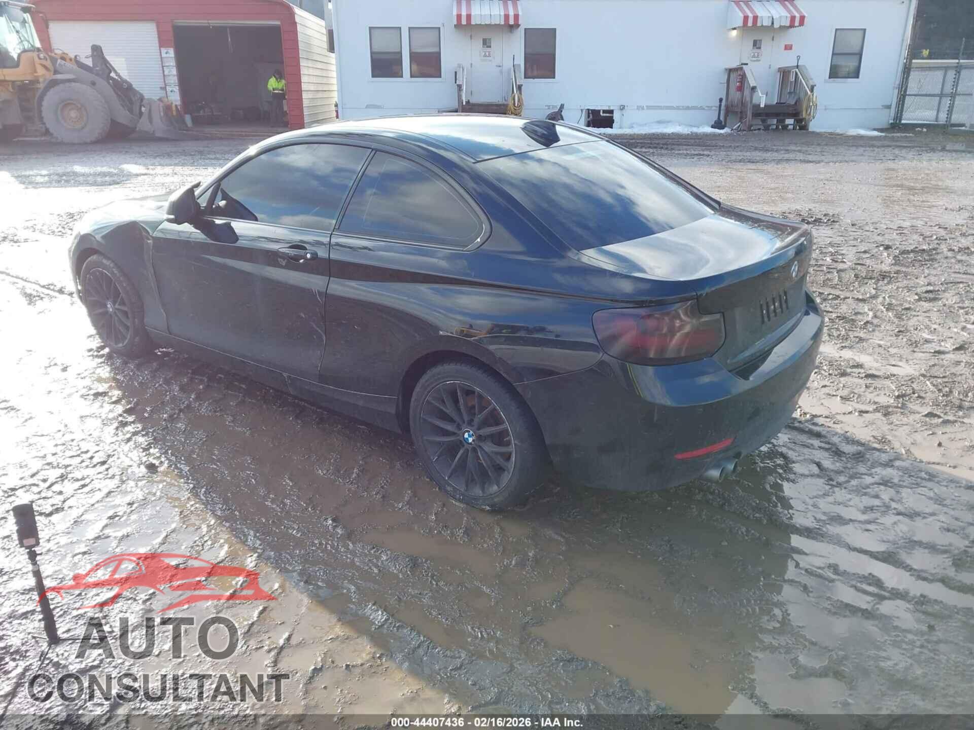 BMW 228I 2014 - WBA1F5C54EVV99550