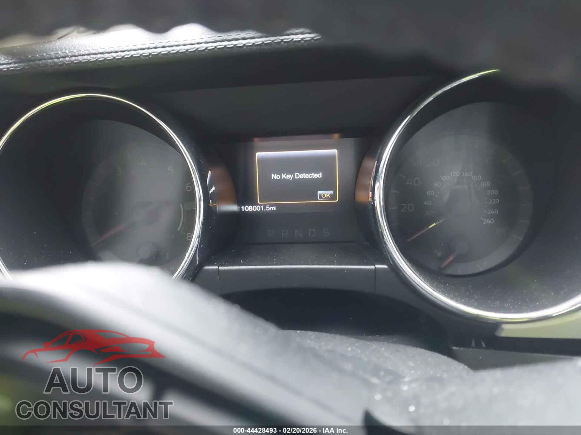 FORD MUSTANG 2016 - 1FA6P8CF0G5266495