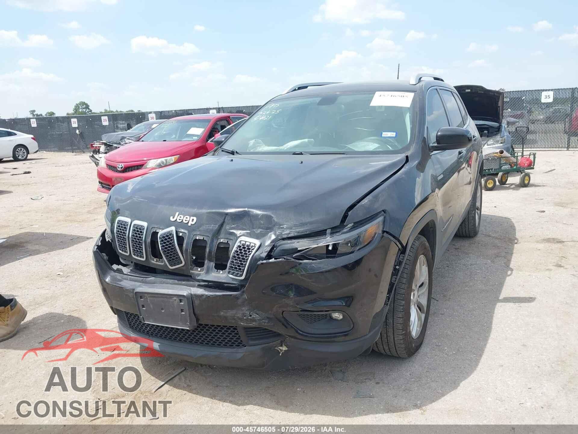 JEEP CHEROKEE 2019 - 1C4PJLCB4KD203348