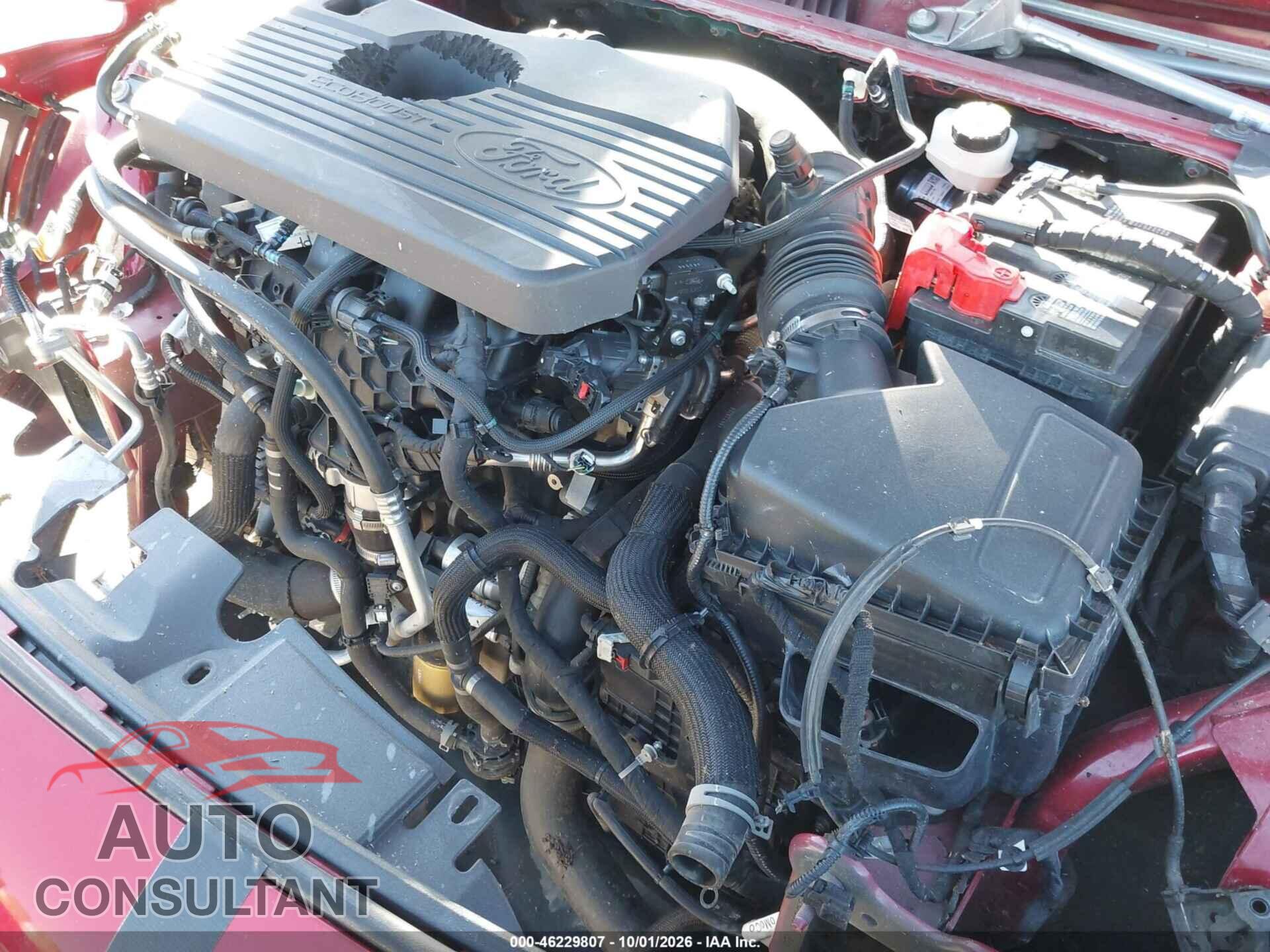 FORD ESCAPE 2020 - 1FMCU9J95LUA56186