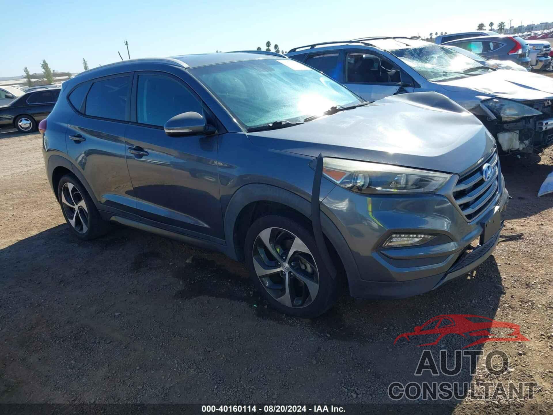 HYUNDAI TUCSON 2016 - KM8J33A20GU023399