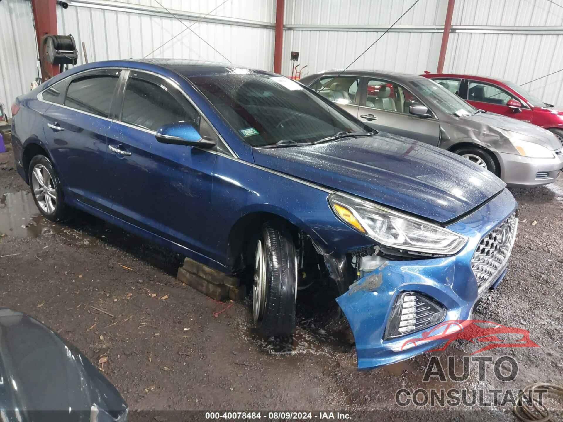 HYUNDAI SONATA 2019 - 5NPE34AF8KH777121