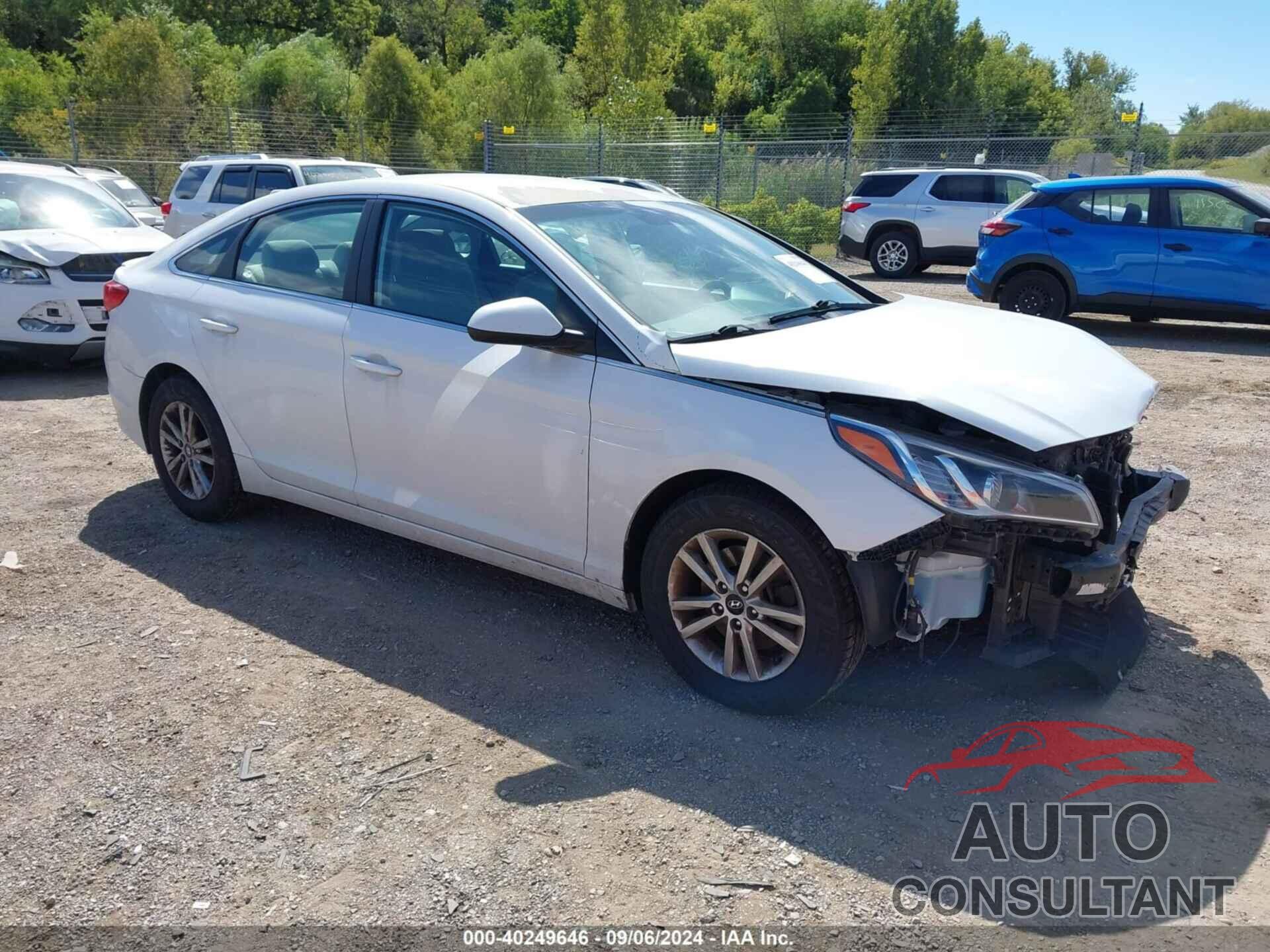 HYUNDAI SONATA 2017 - 5NPE24AF7HH552488