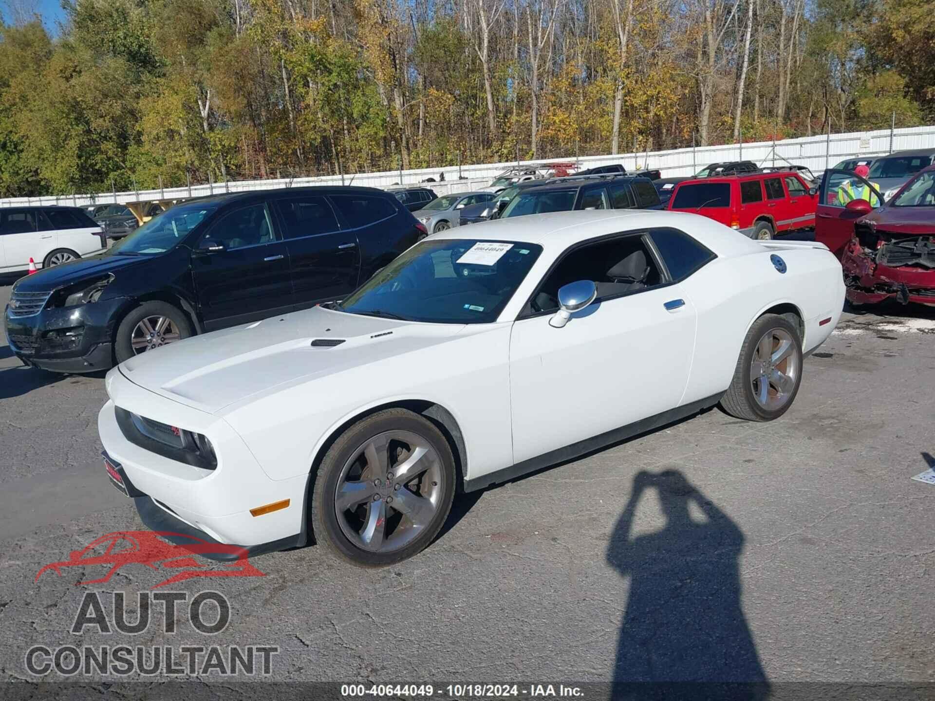 DODGE CHALLENGER 2013 - 2C3CDYBTXDH705272