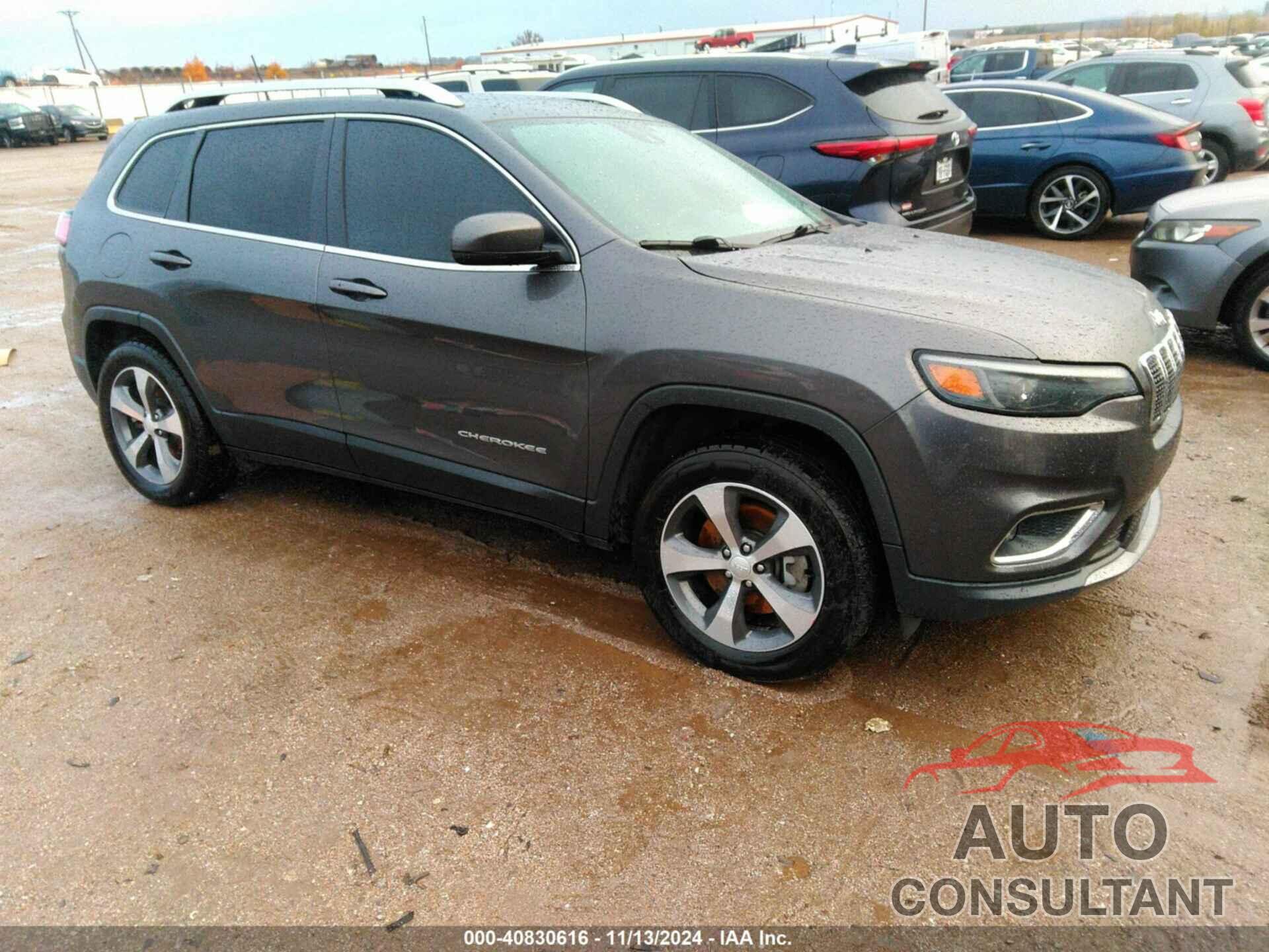 JEEP CHEROKEE 2019 - 1C4PJMDX0KD321753