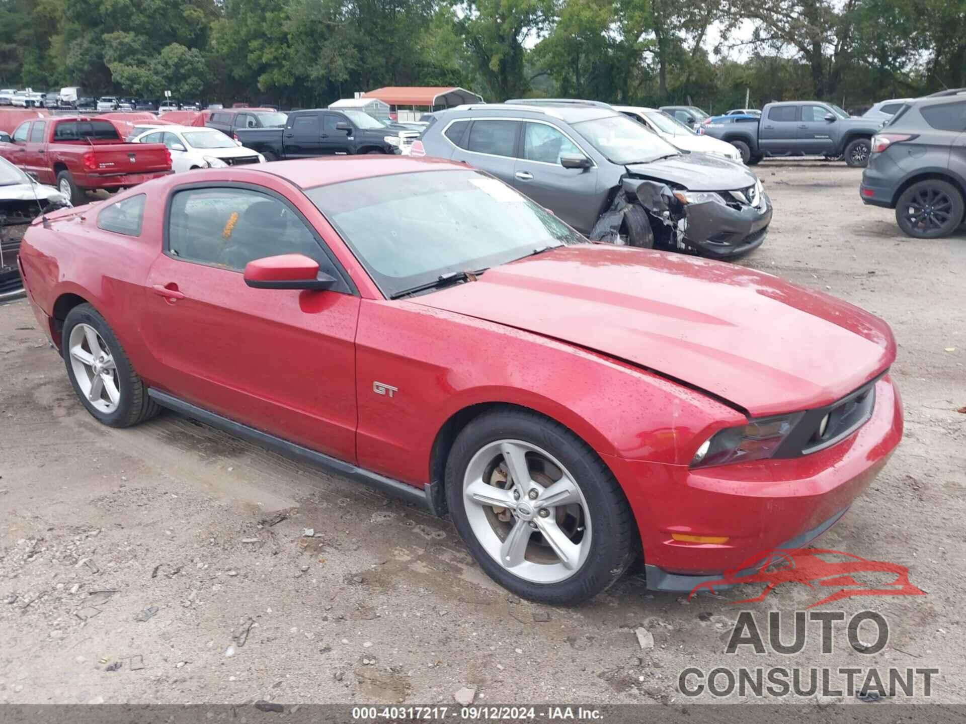 FORD MUSTANG 2010 - 1ZVBP8CH9A5145852