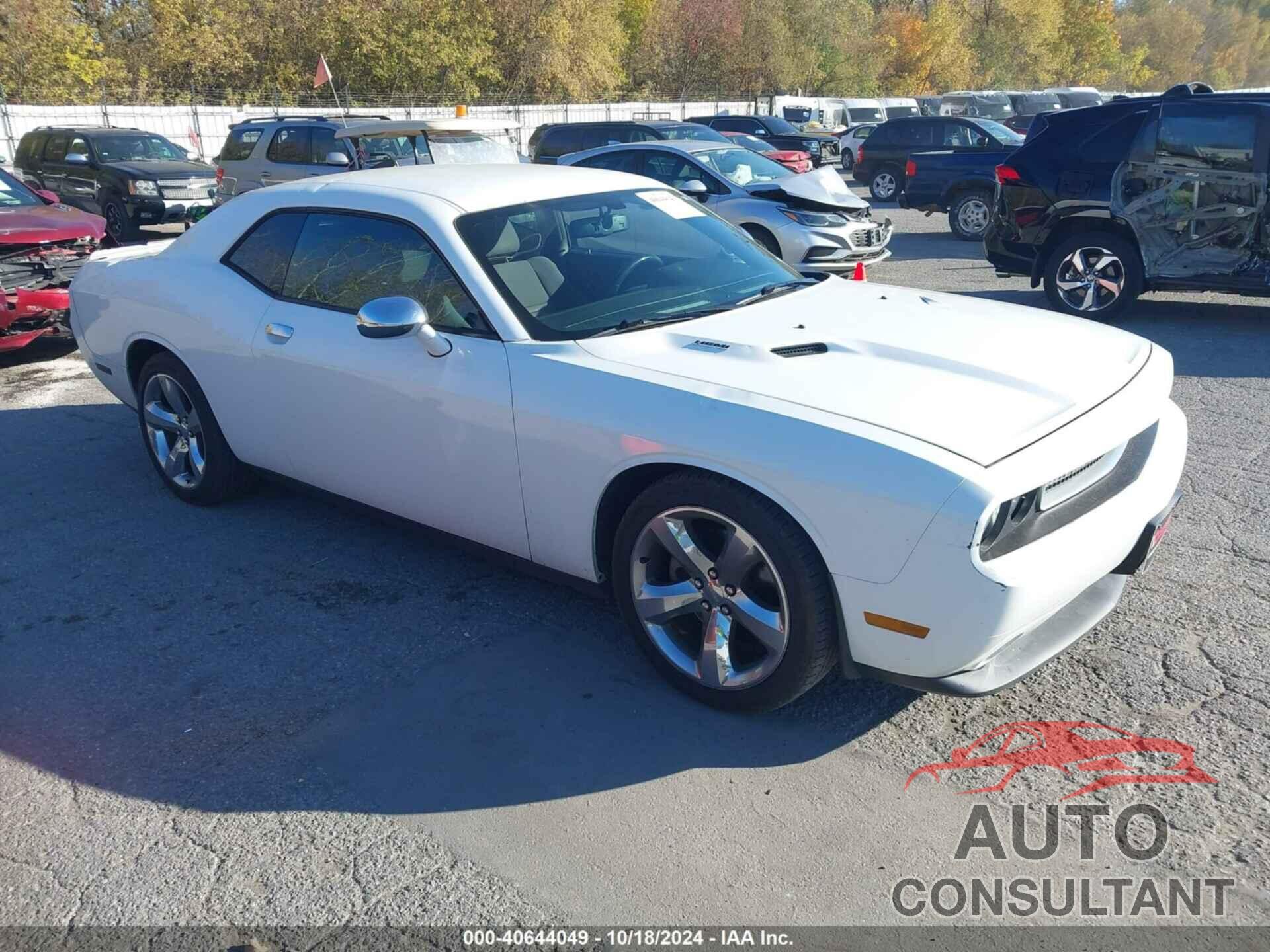 DODGE CHALLENGER 2013 - 2C3CDYBTXDH705272