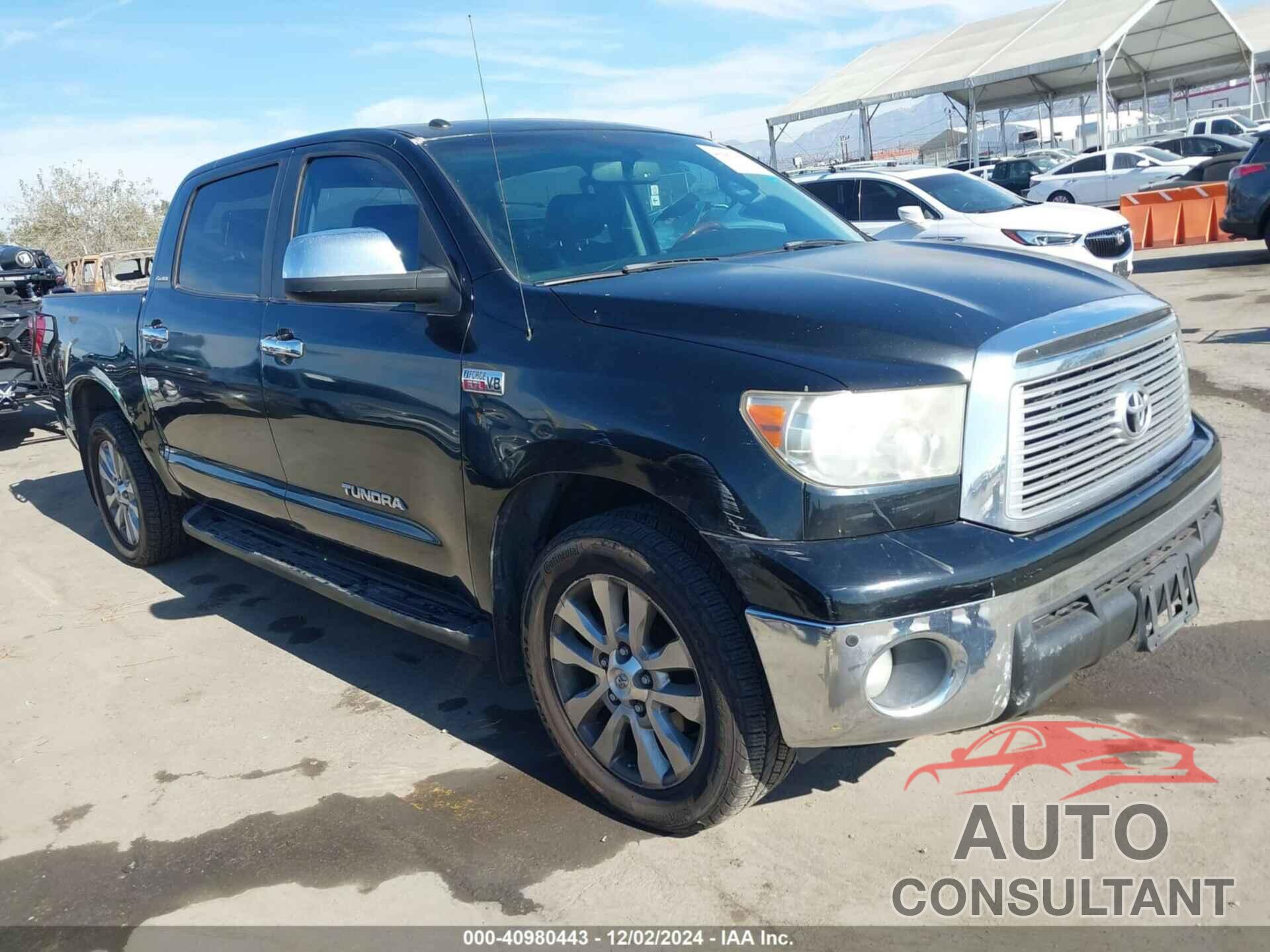 TOYOTA TUNDRA 2010 - 5TFFY5F18AX079054