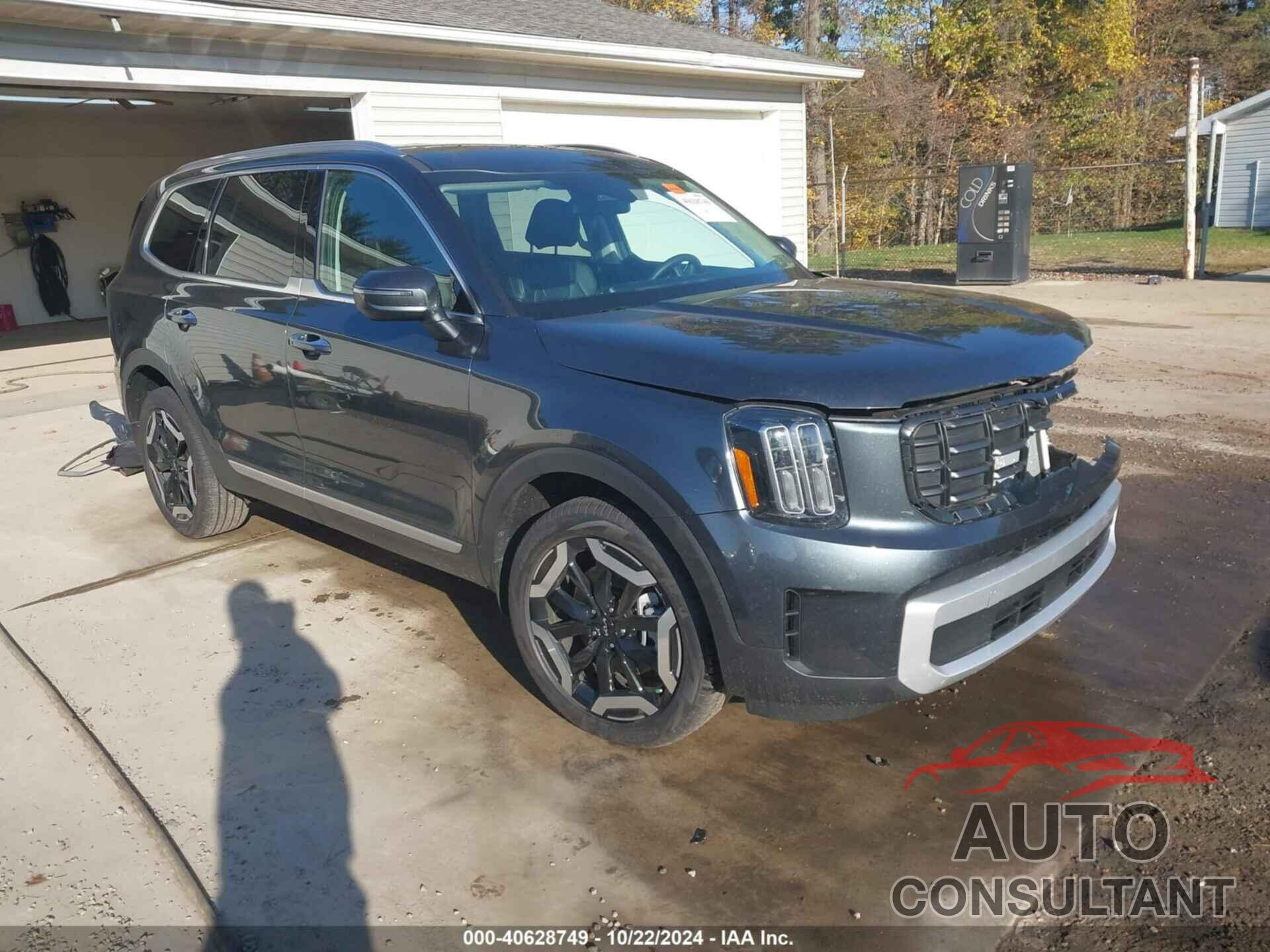 KIA TELLURIDE 2024 - 5XYP6DGC3RG536128