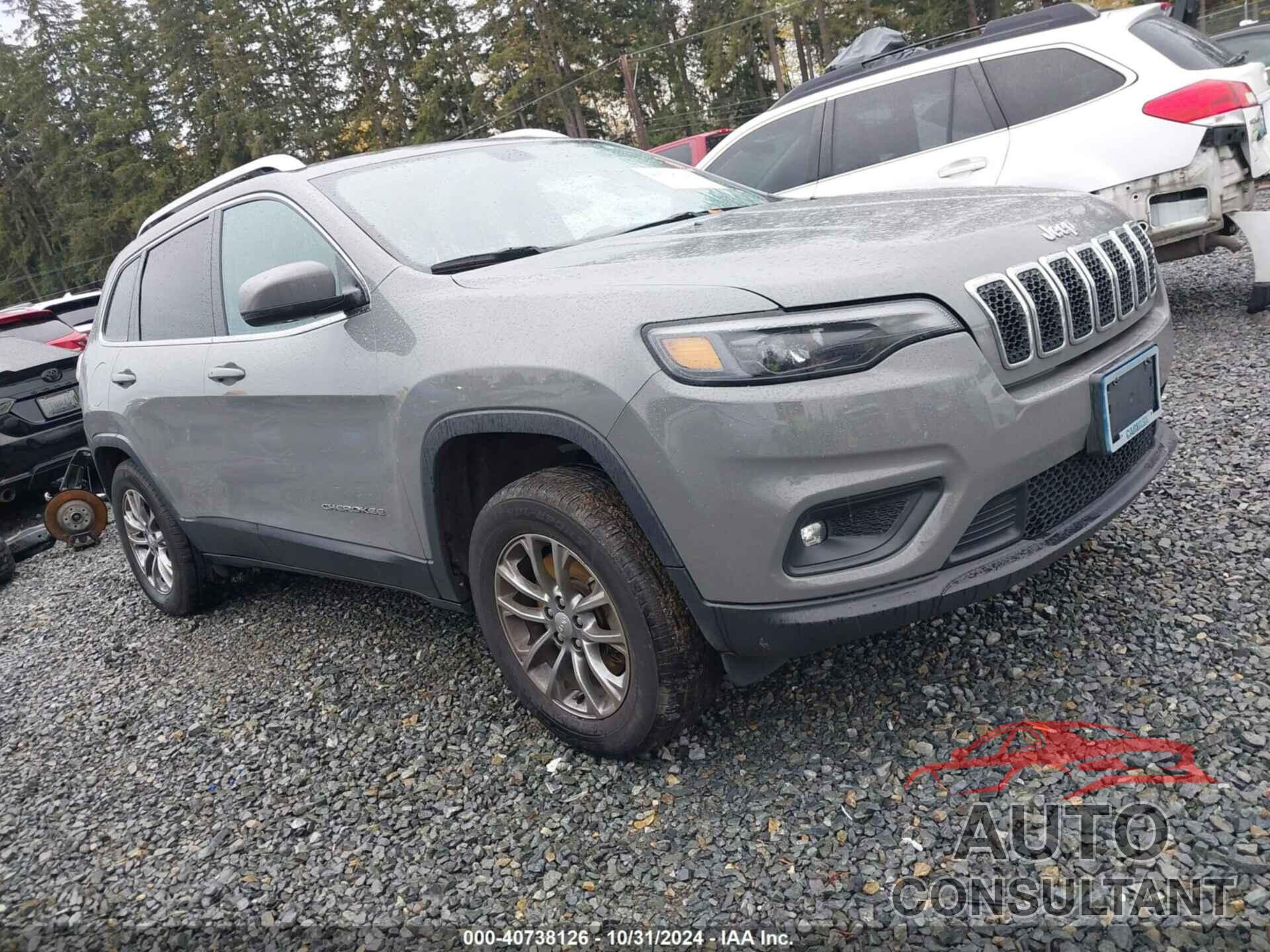 JEEP CHEROKEE 2019 - 1C4PJMLX9KD446056