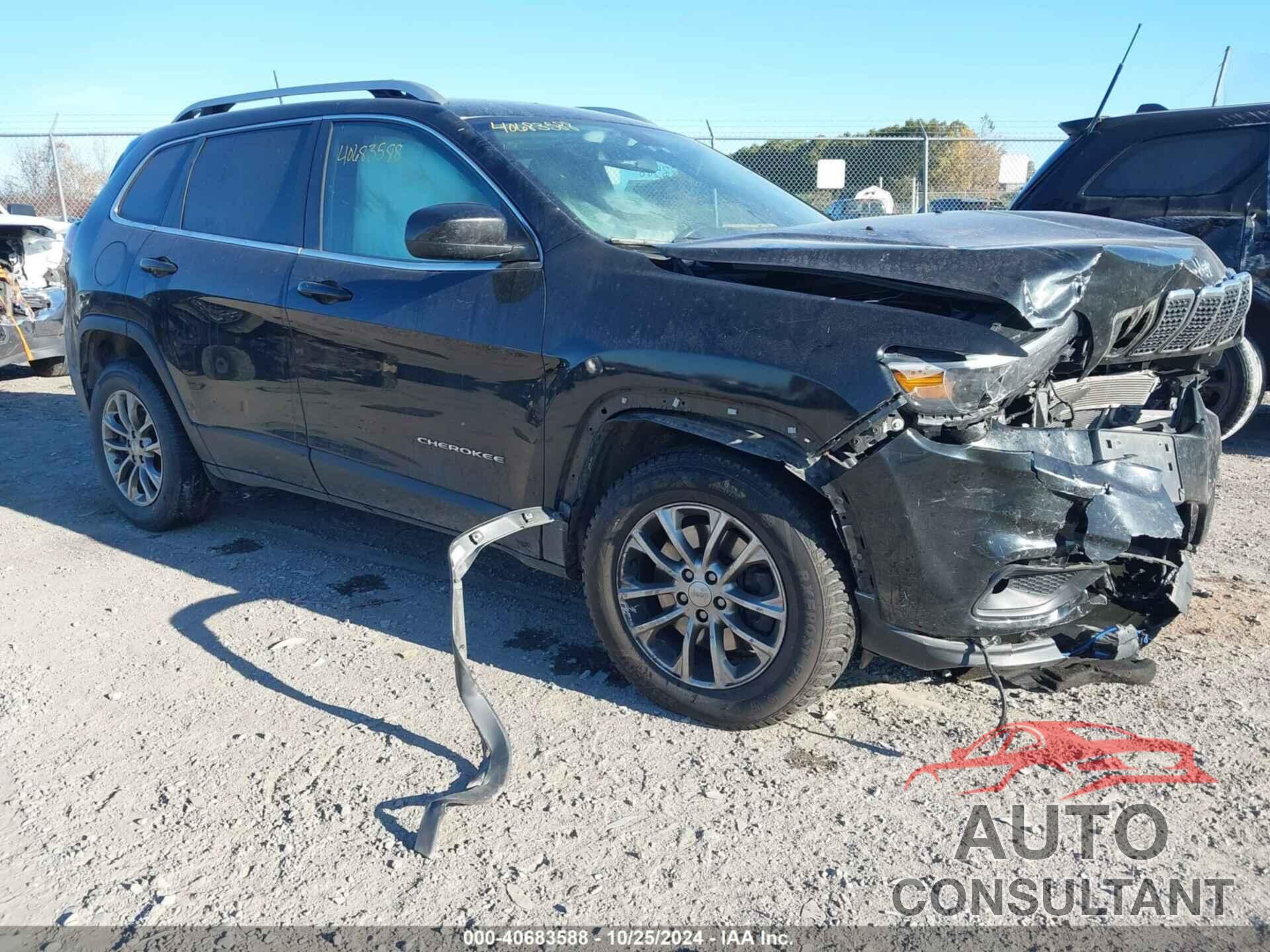 JEEP CHEROKEE 2019 - 1C4PJMLB4KD211746