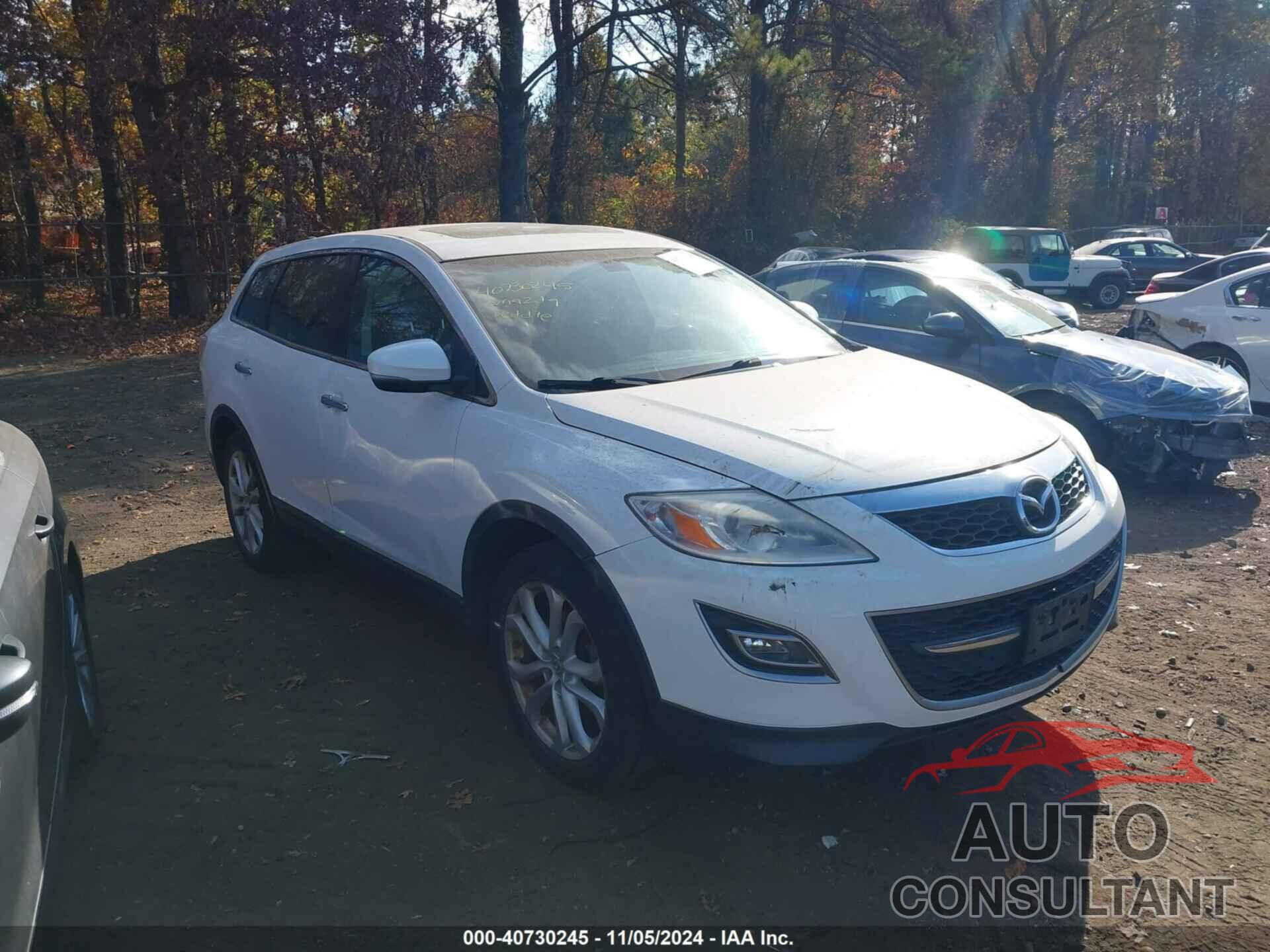 MAZDA CX-9 2012 - JM3TB3DV1C0347931