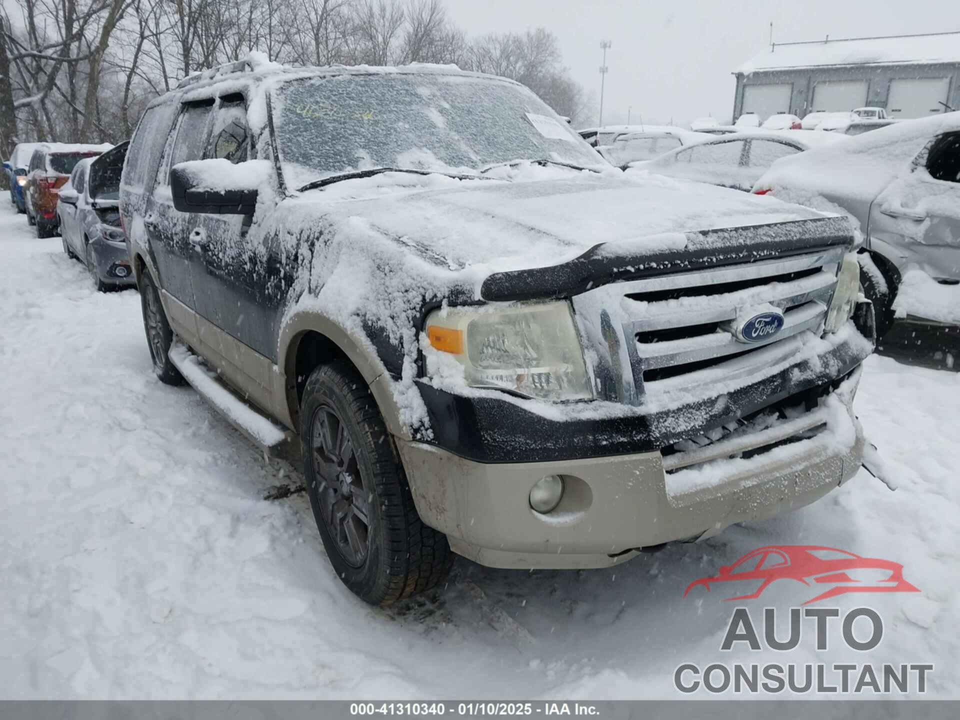 FORD EXPEDITION 2010 - 1FMJU1J53AEB35675