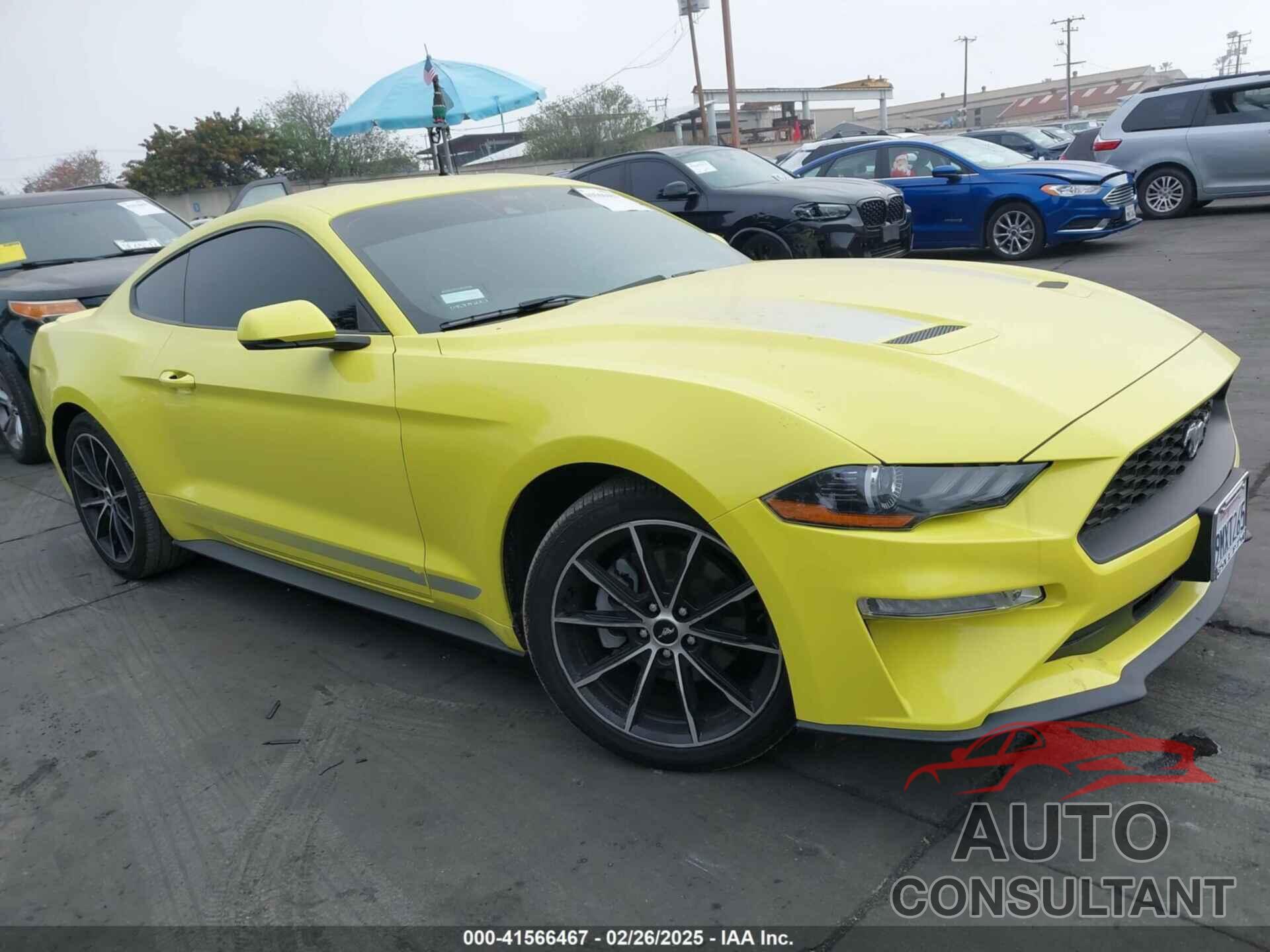 FORD MUSTANG 2021 - 1FA6P8TH8M5144464